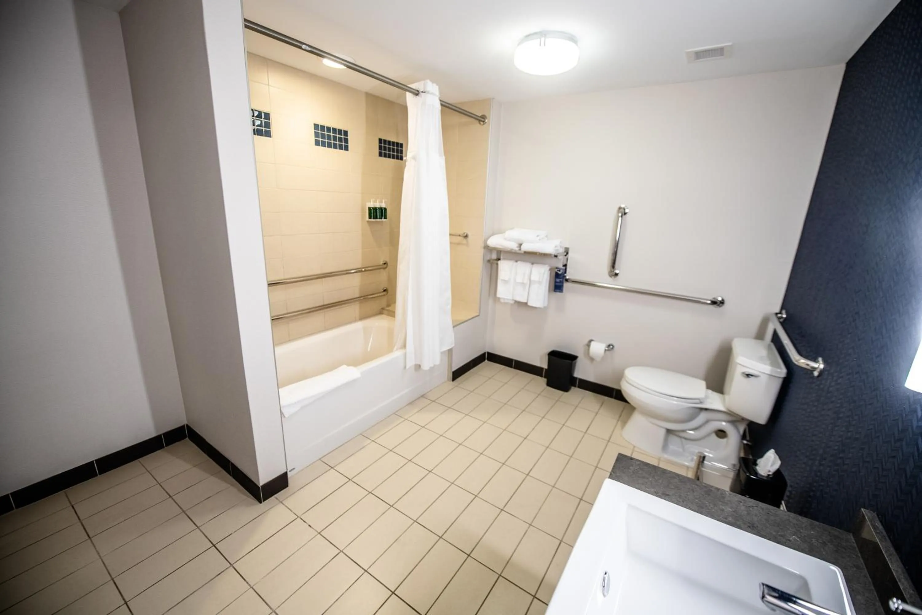 Bathroom in Fairfield by Marriott Inn & Suites Washington Casino Area