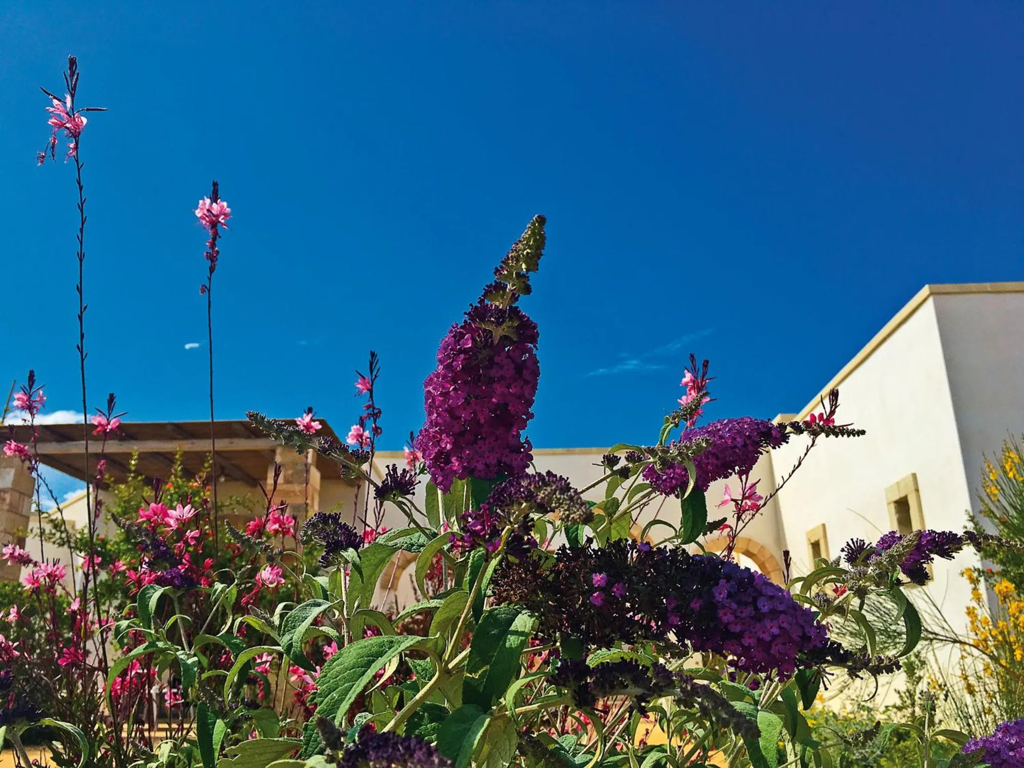 Garden in Agriturismo Vigna Corallo