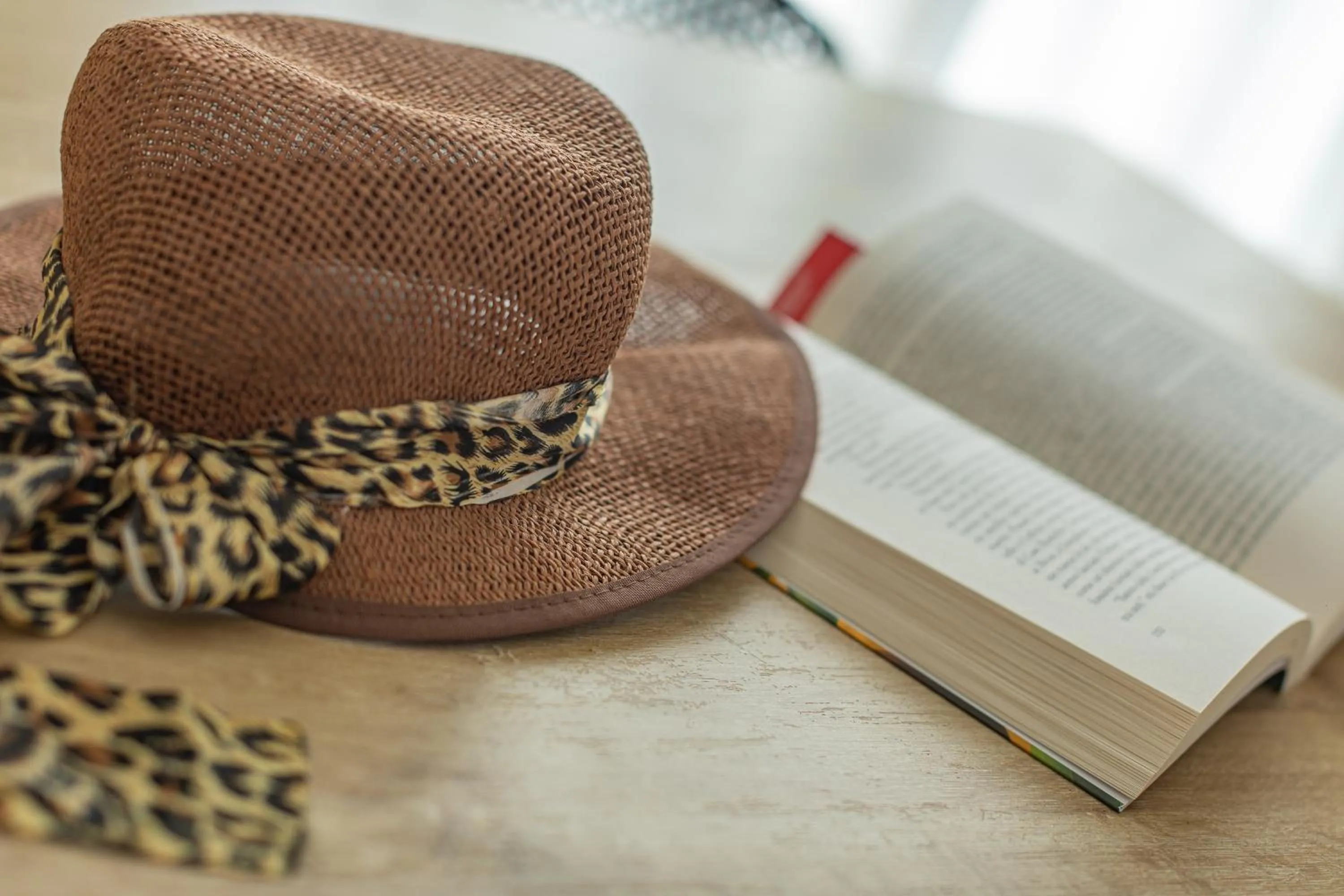 Living room in Agriturismo Vigna Corallo