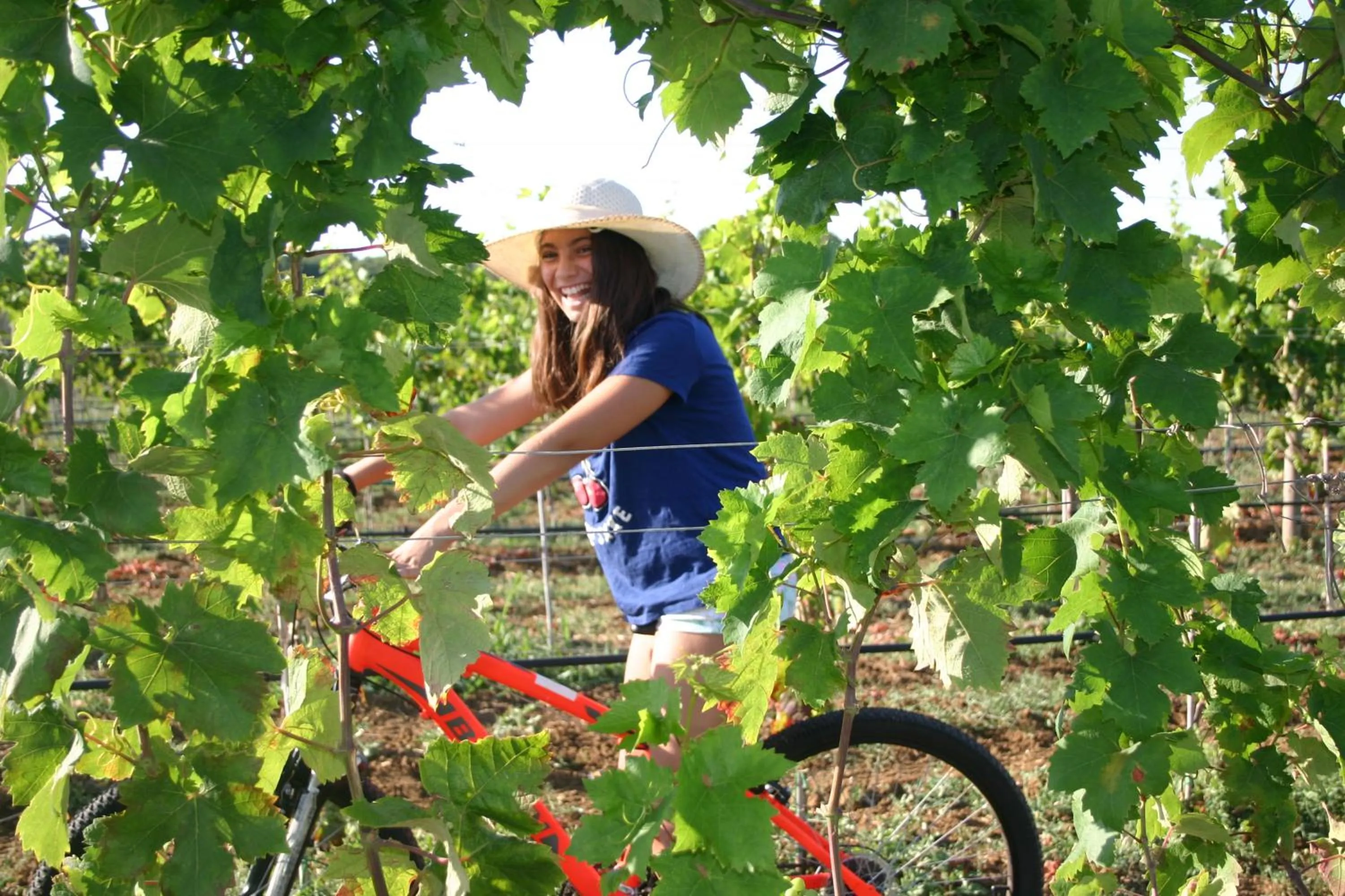 Cycling in Agriturismo Vigna Corallo
