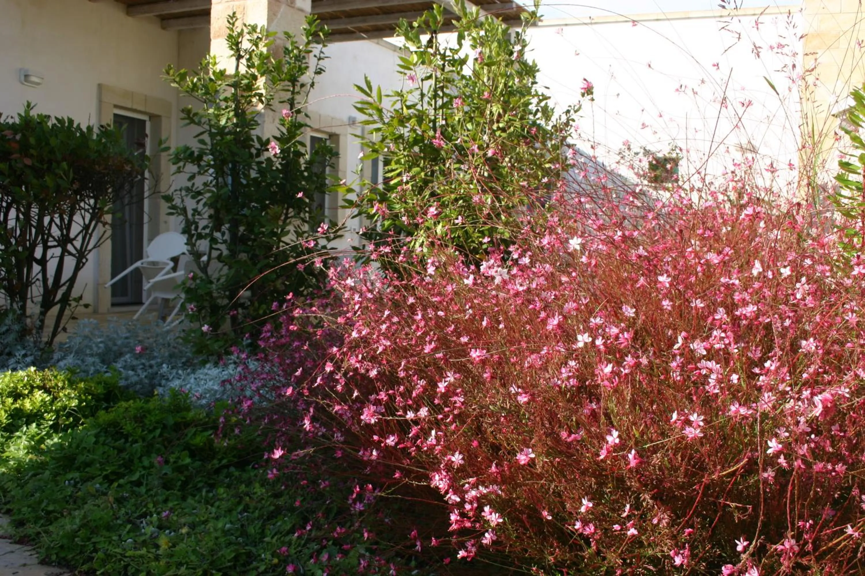 Garden in Agriturismo Vigna Corallo