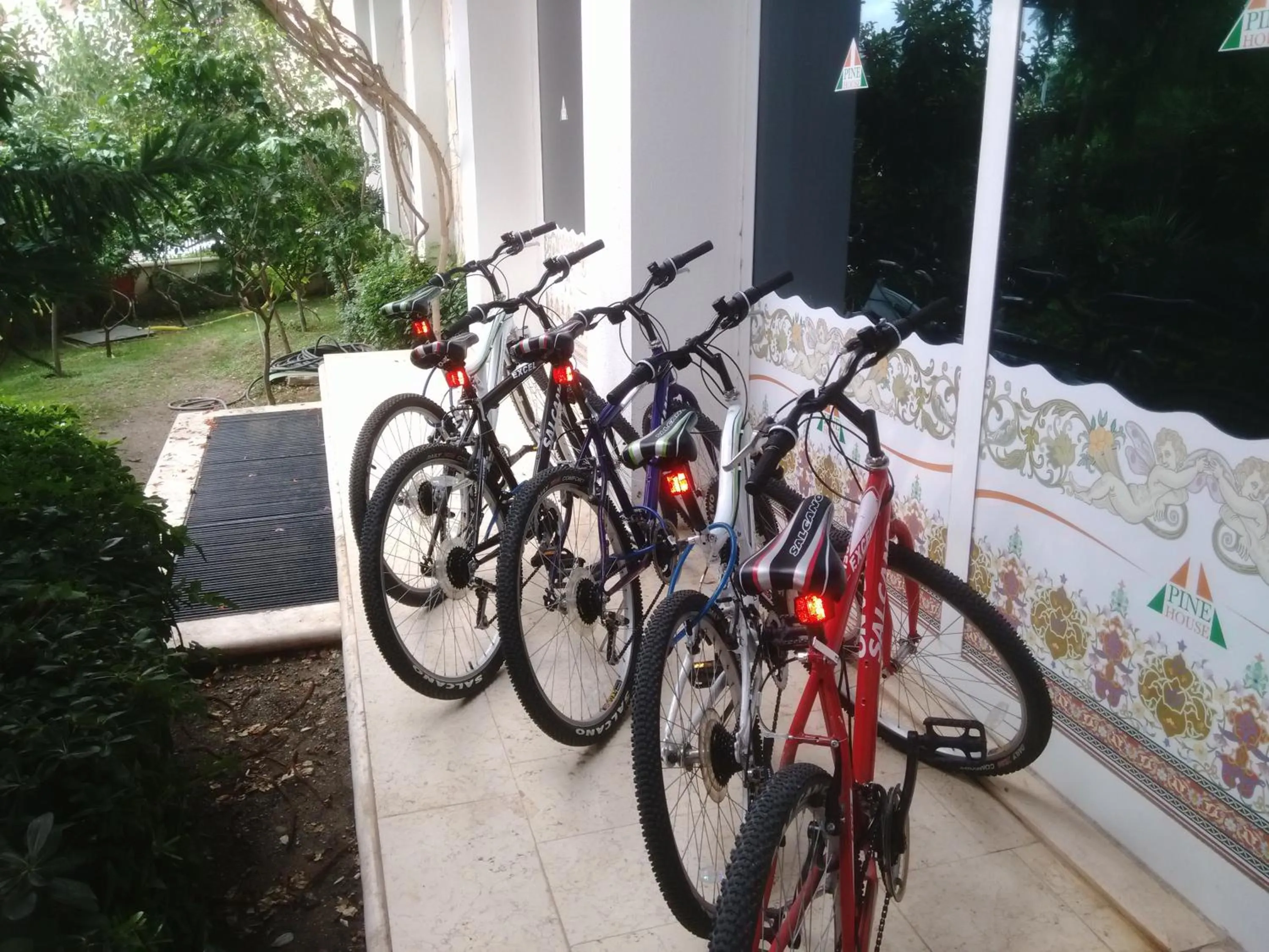 Cycling in Pine House by Werde Hotels
