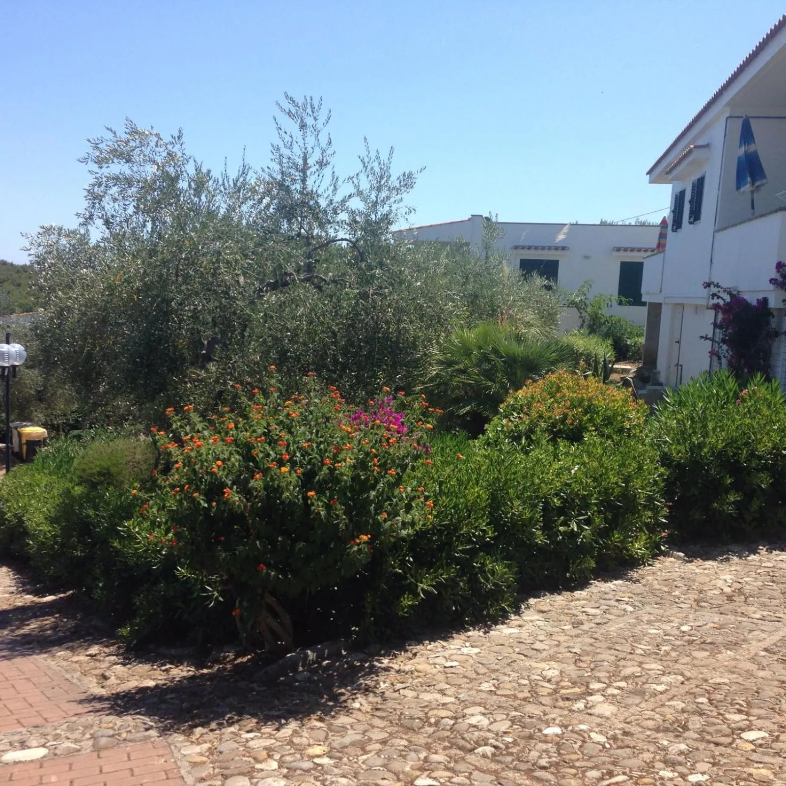 Garden view in Villaggio Passo Dell'Arciprete