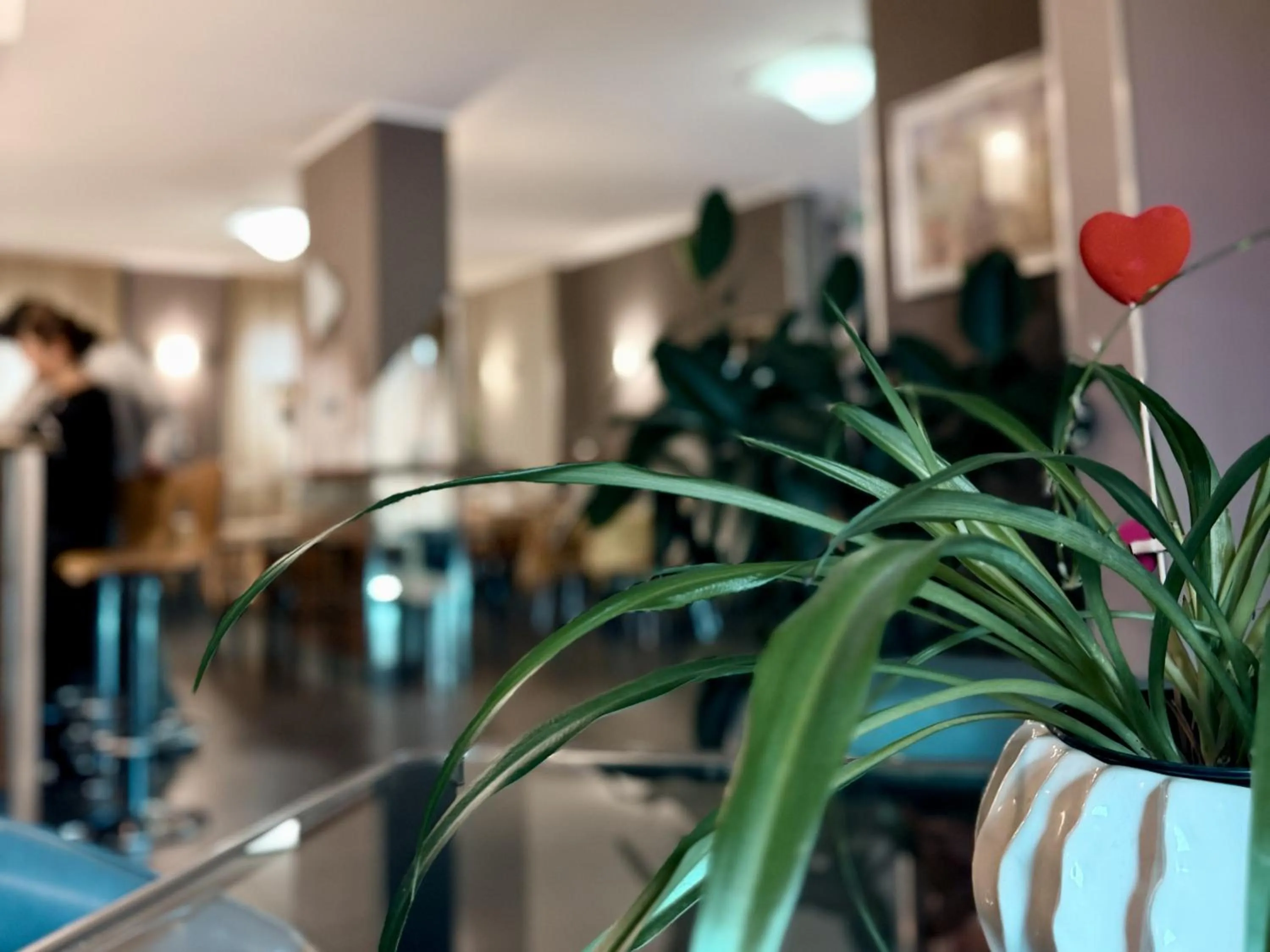 Communal lounge/ TV room in Hotel Giada