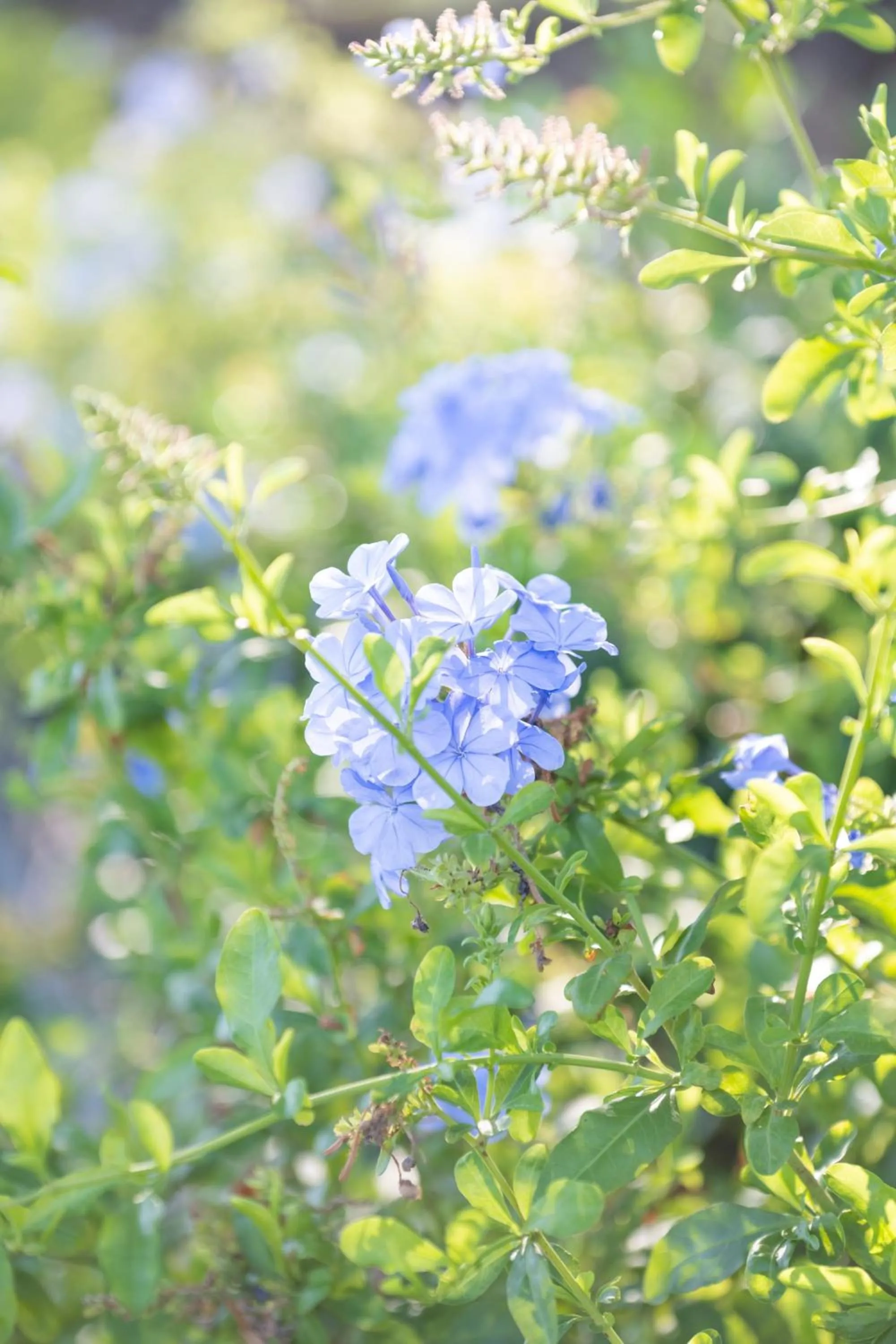 Day in Hôtel de La Fossette