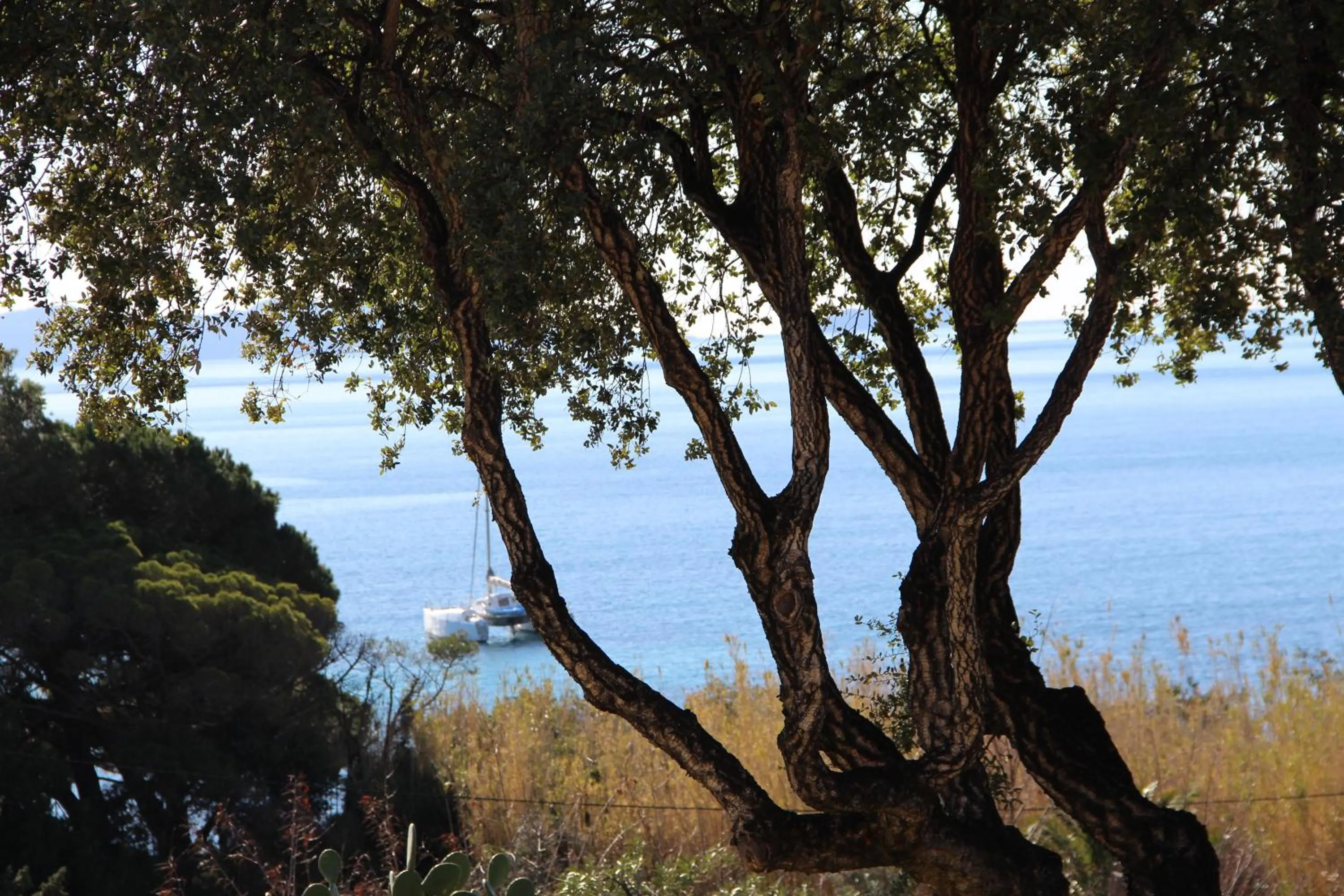 Garden view in Hôtel de La Fossette