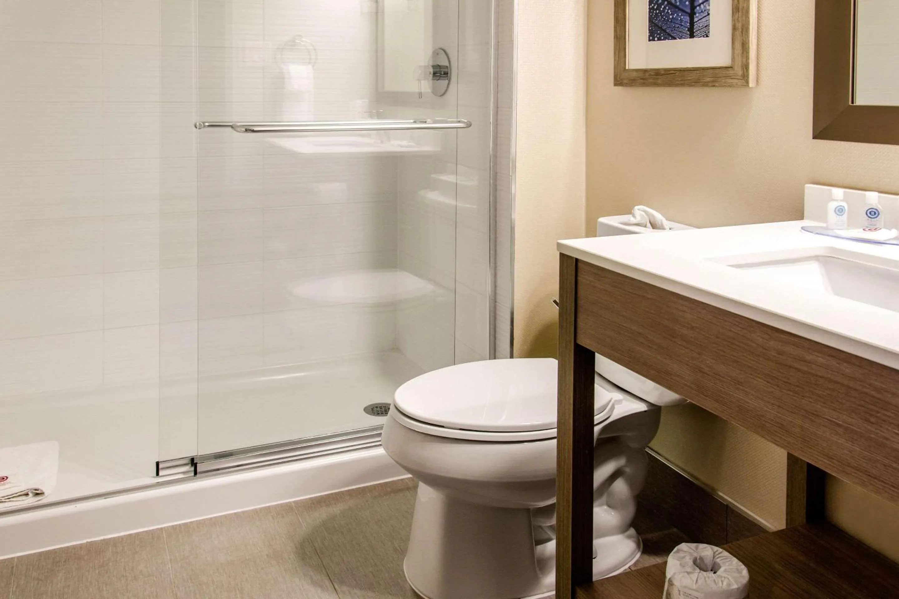 Bathroom in Comfort Inn Aeroport