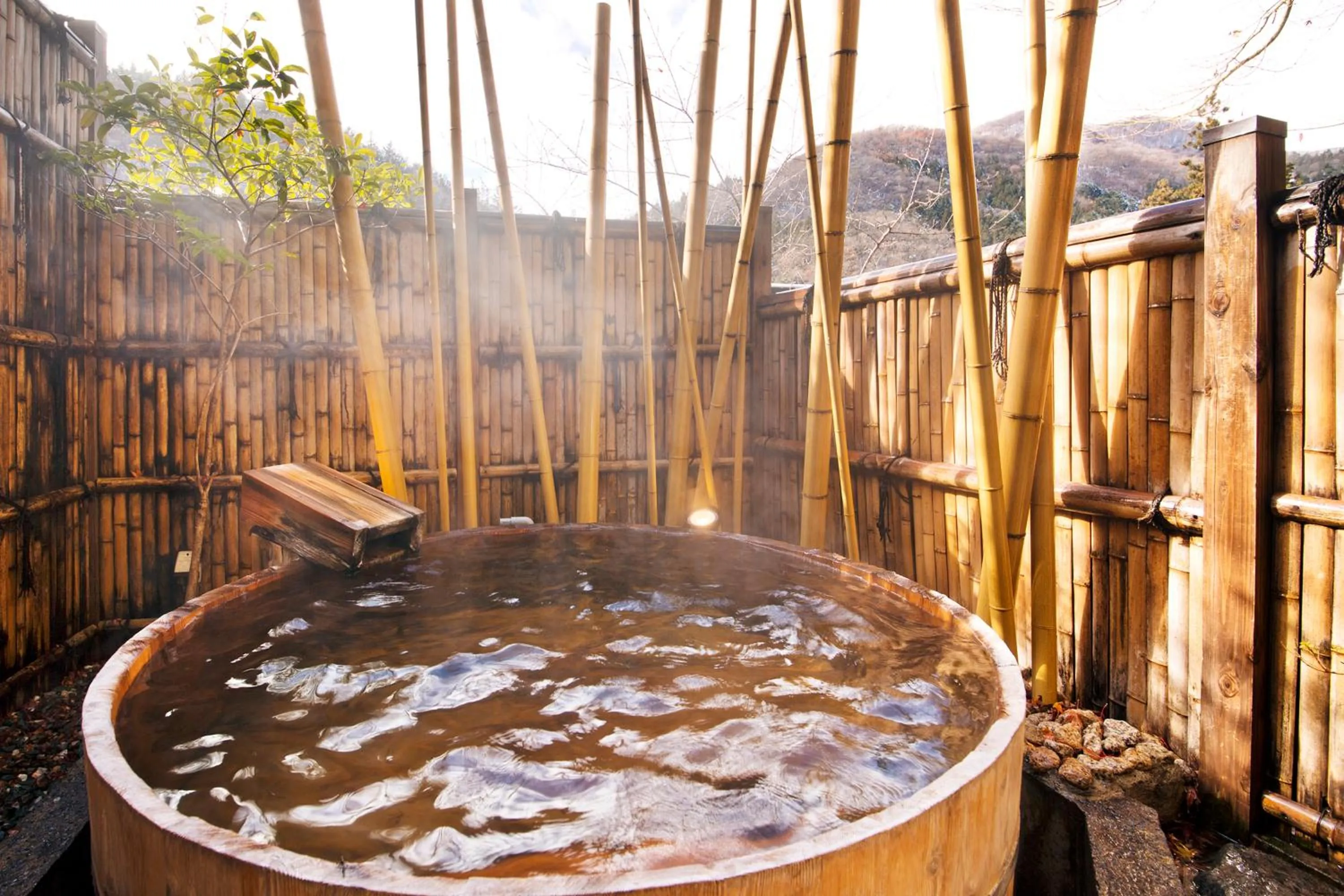 Day in Shima Onsen Kashiwaya Ryokan