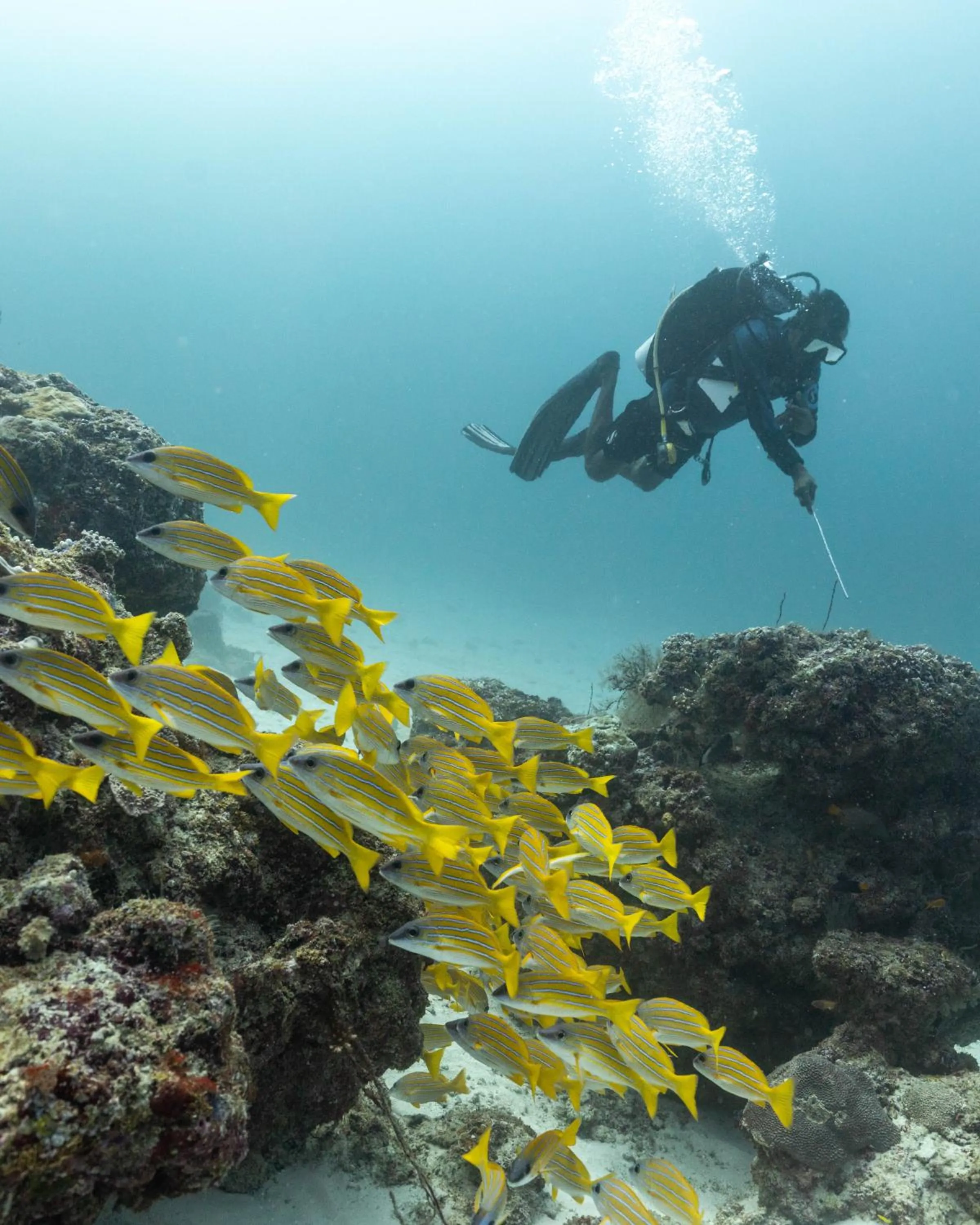Cinnamon Dhonveli Maldives