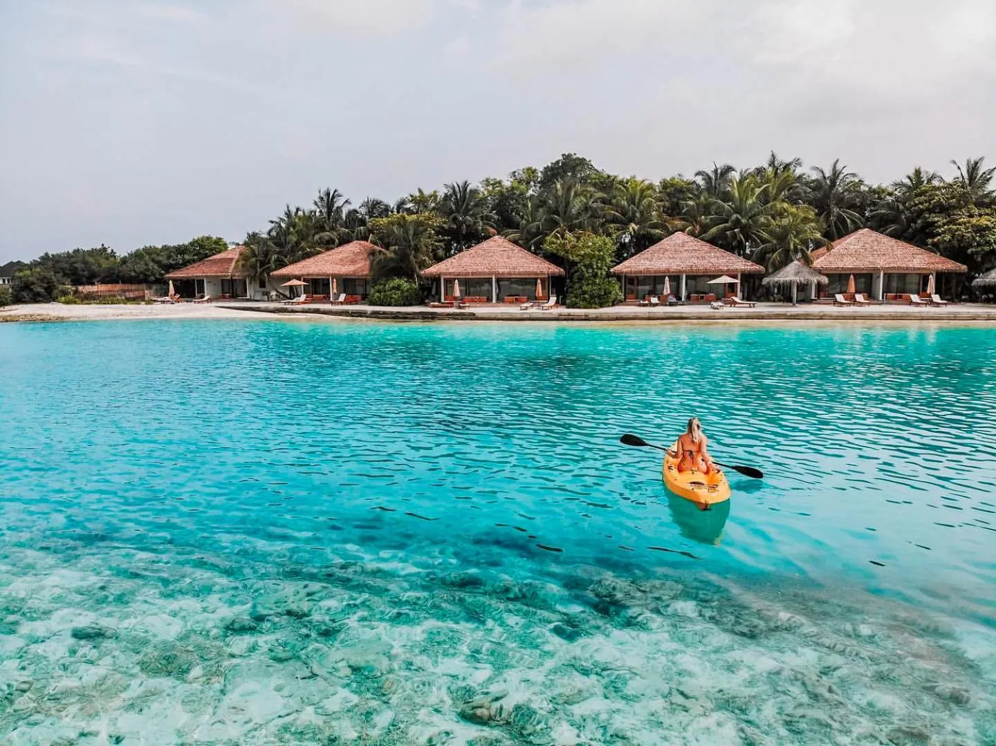 Activities in Cinnamon Dhonveli Maldives - Free One-Way Speedboat and 02 Kids Under 12 Stay & Dine Free
