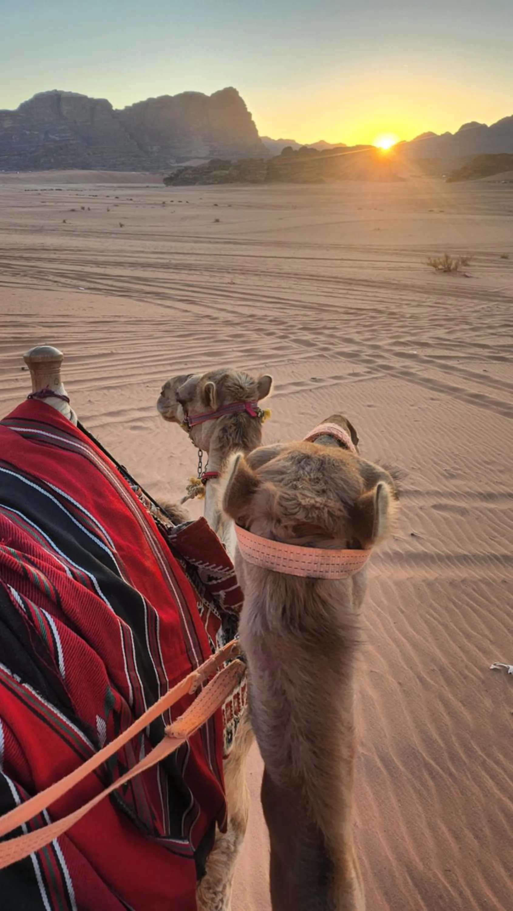 Activities in Hasan Zawaideh Camp