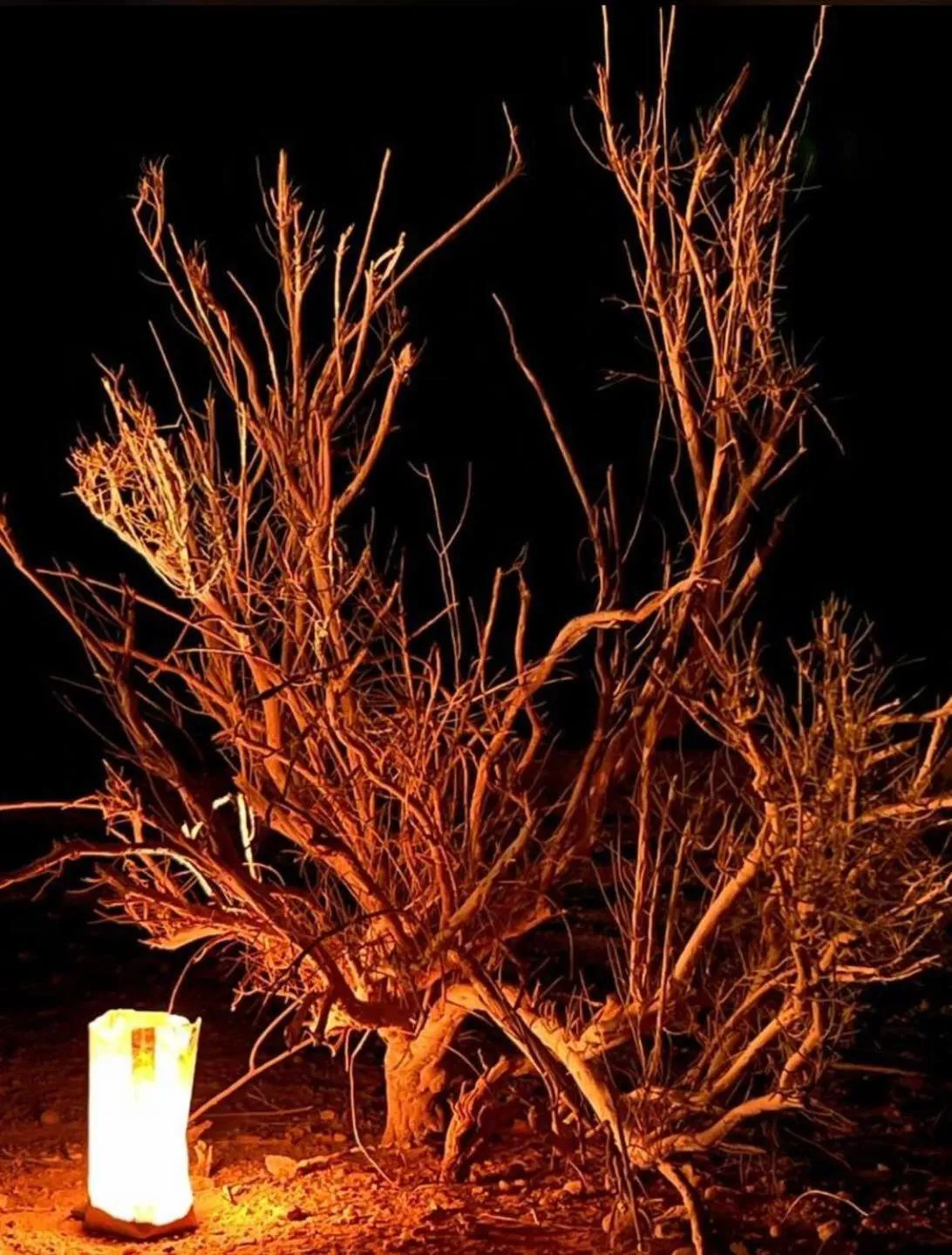 Activities in Hasan Zawaideh Camp