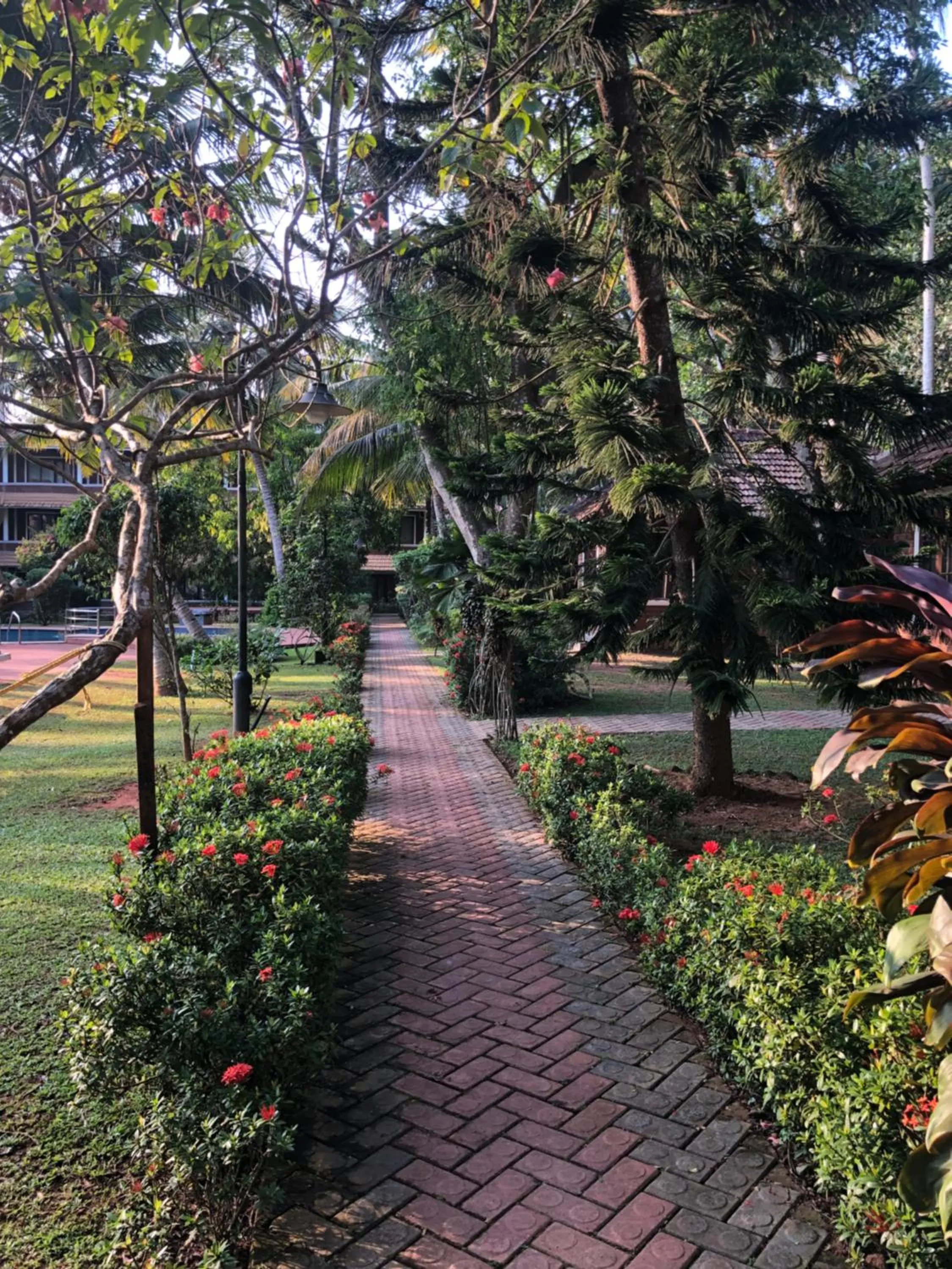 Garden view in Abad Harmonia Ayurvedic Beach Resort