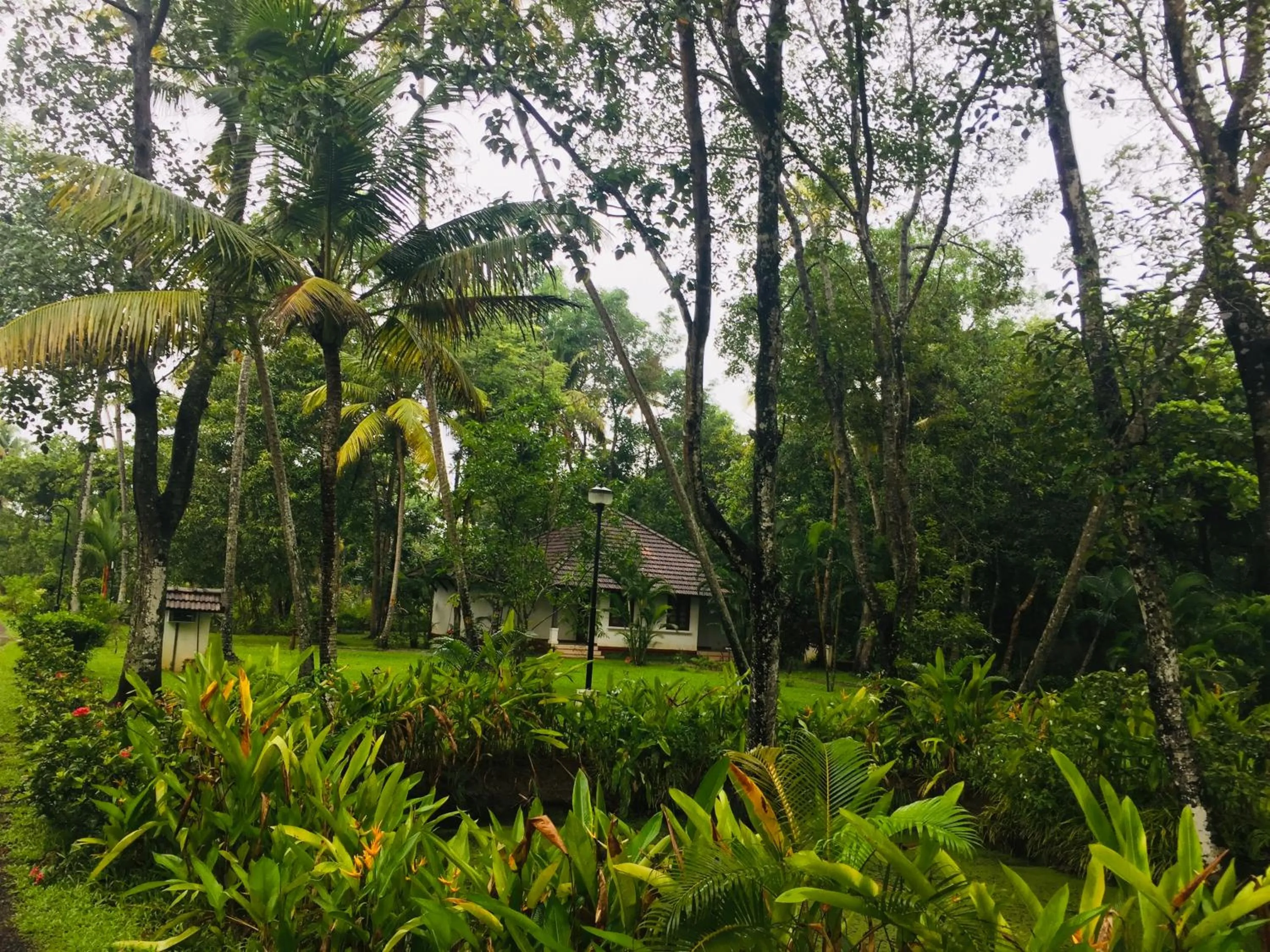 Garden in Abad Turtle Beach