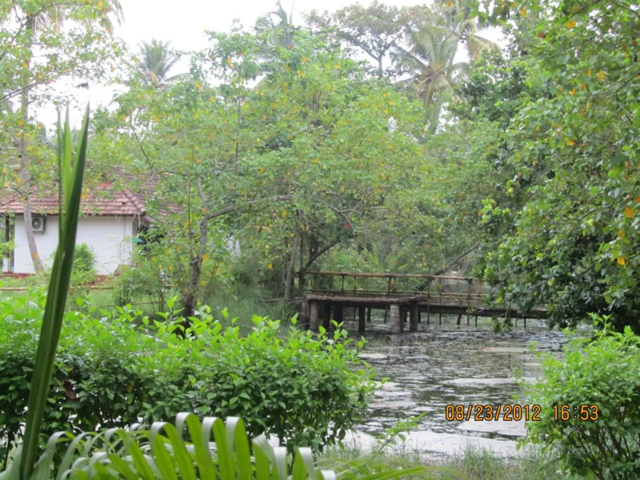 Day in Abad Turtle Beach