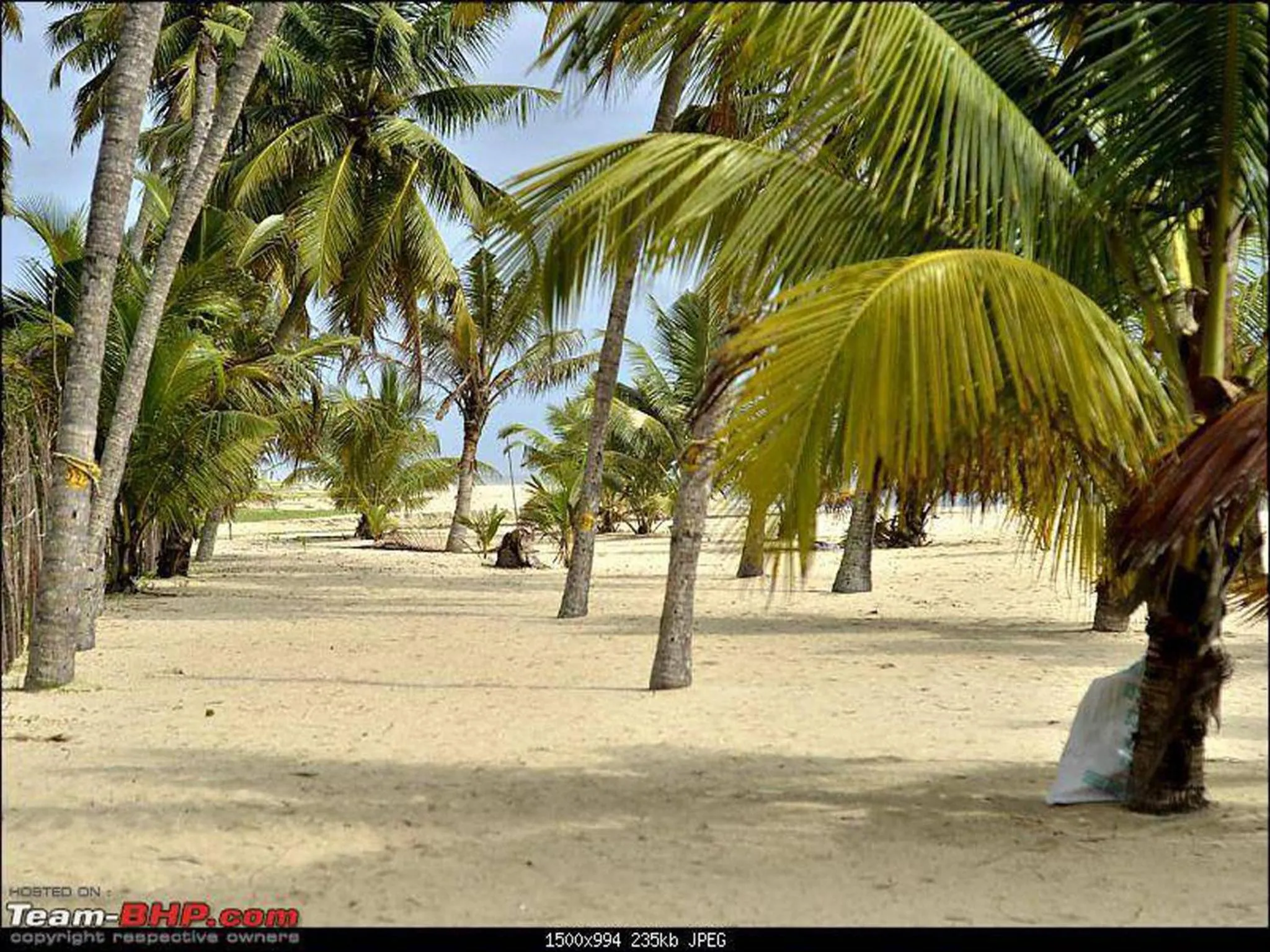 Day in Abad Turtle Beach