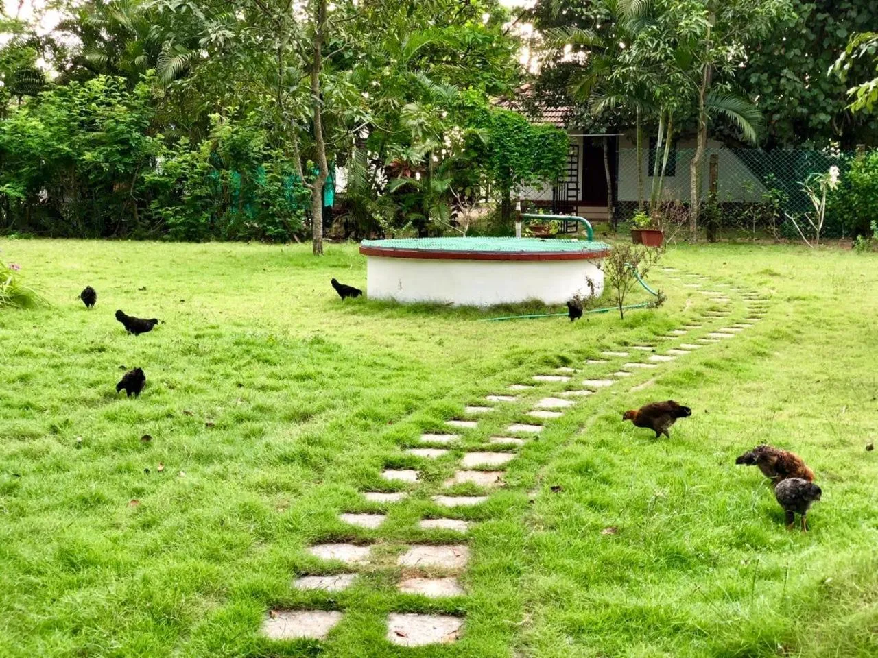 Garden view in Abad Turtle Beach