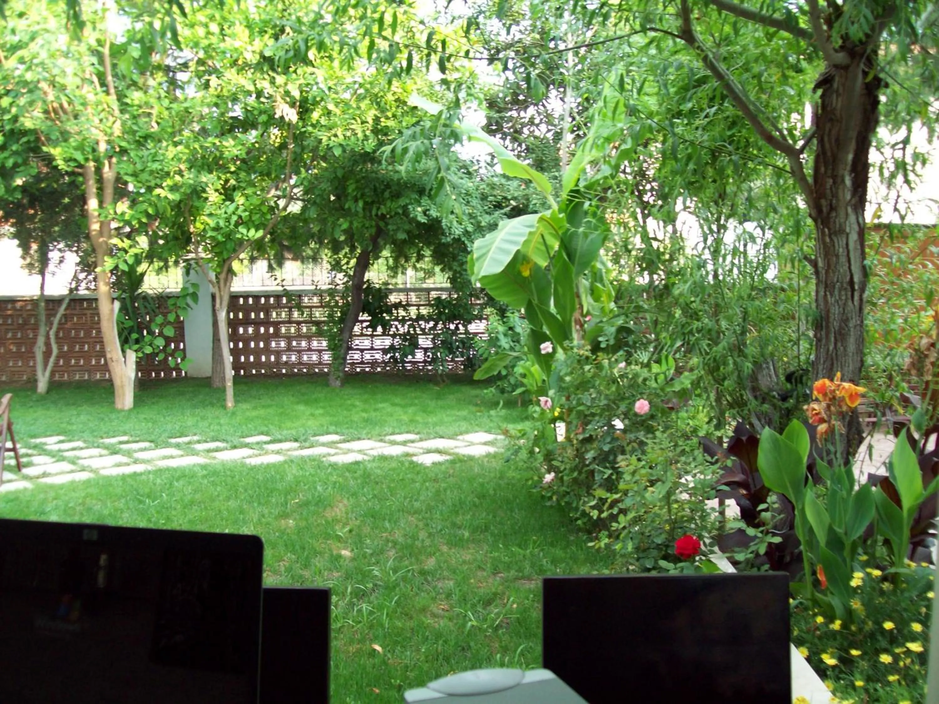 Garden in Hotel Vanilla