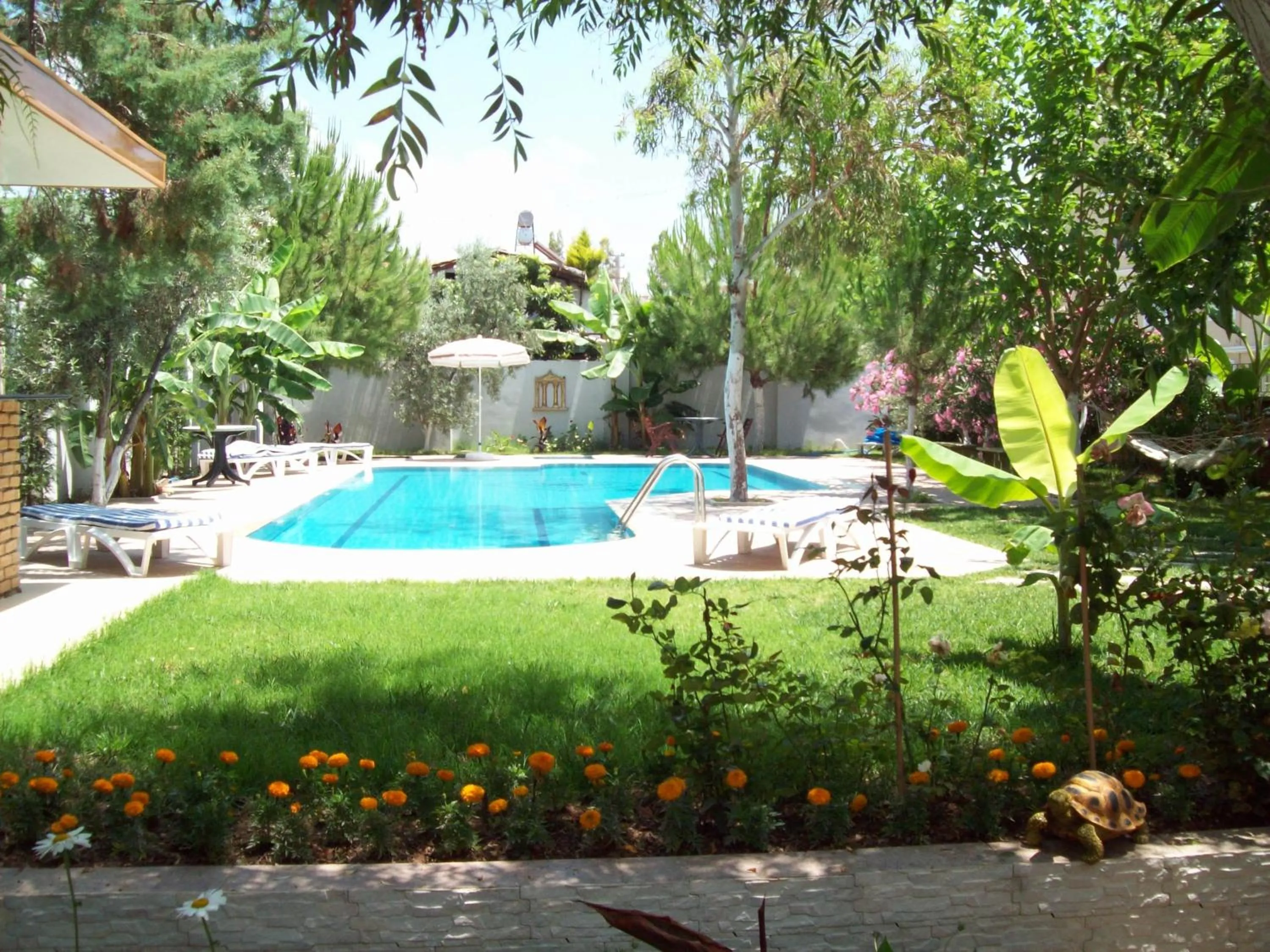 Garden in Hotel Vanilla