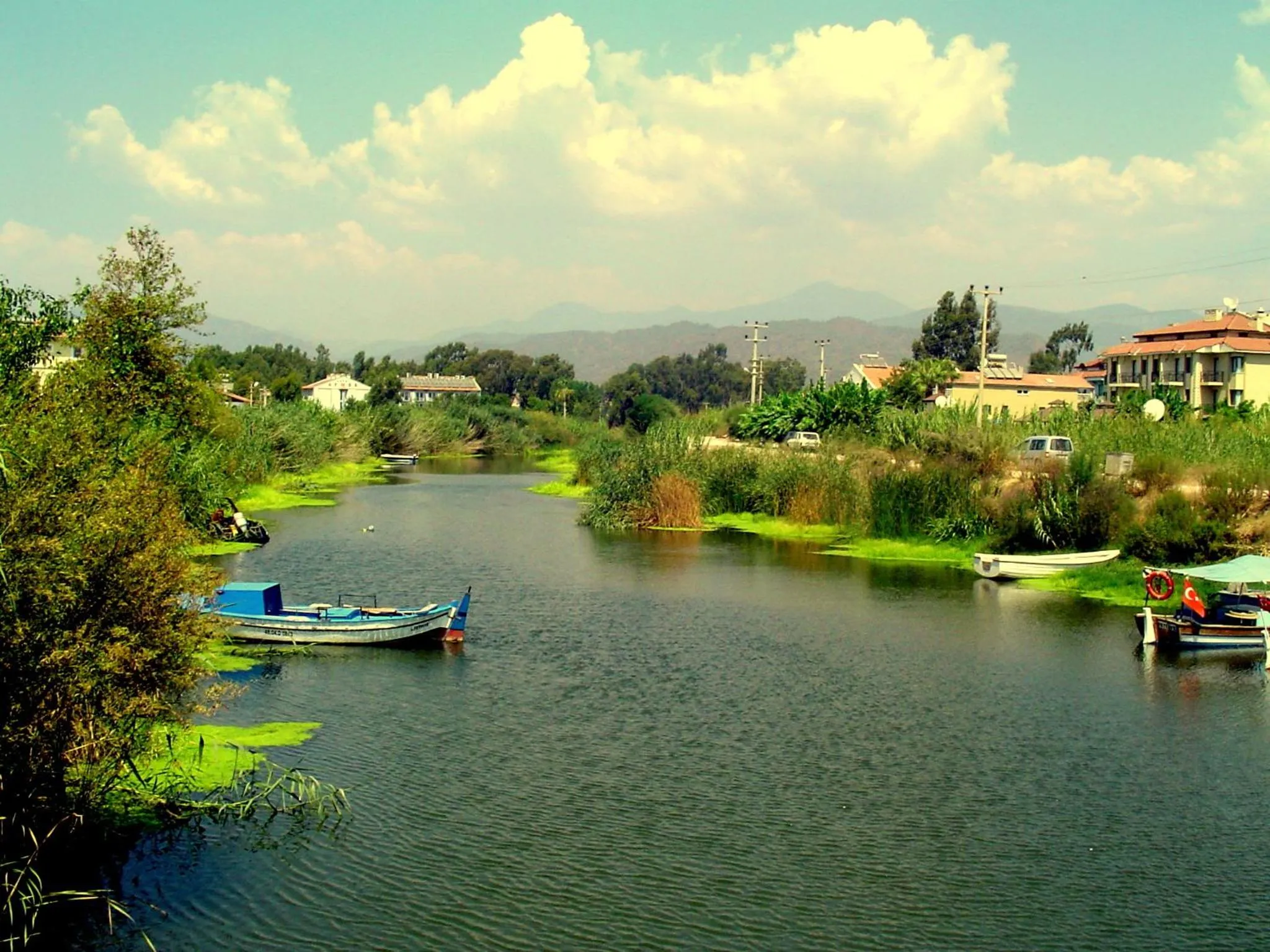 Area and facilities in Hotel Vanilla