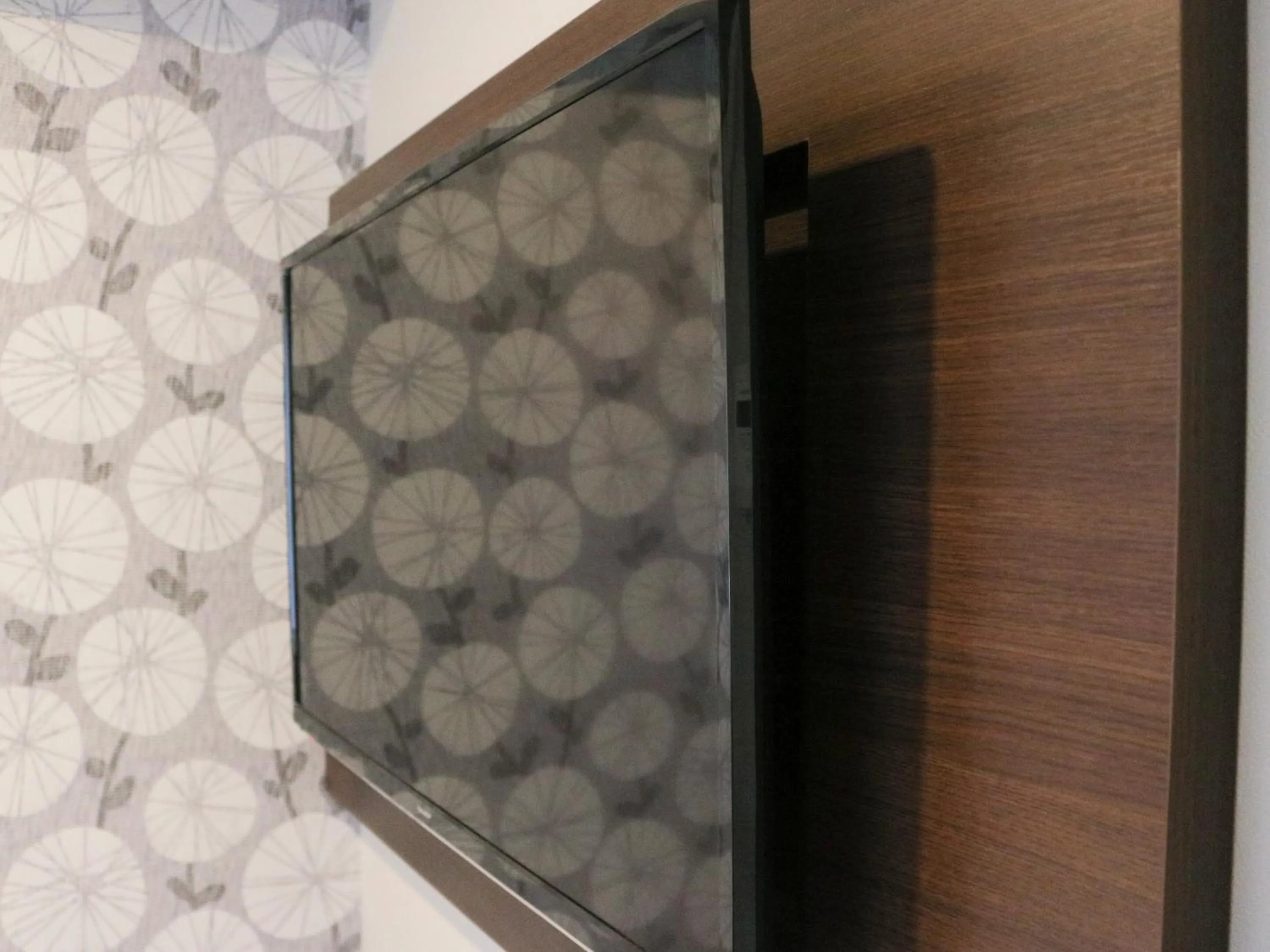 TV and multimedia in Premier Hotel Cabin Shinjuku