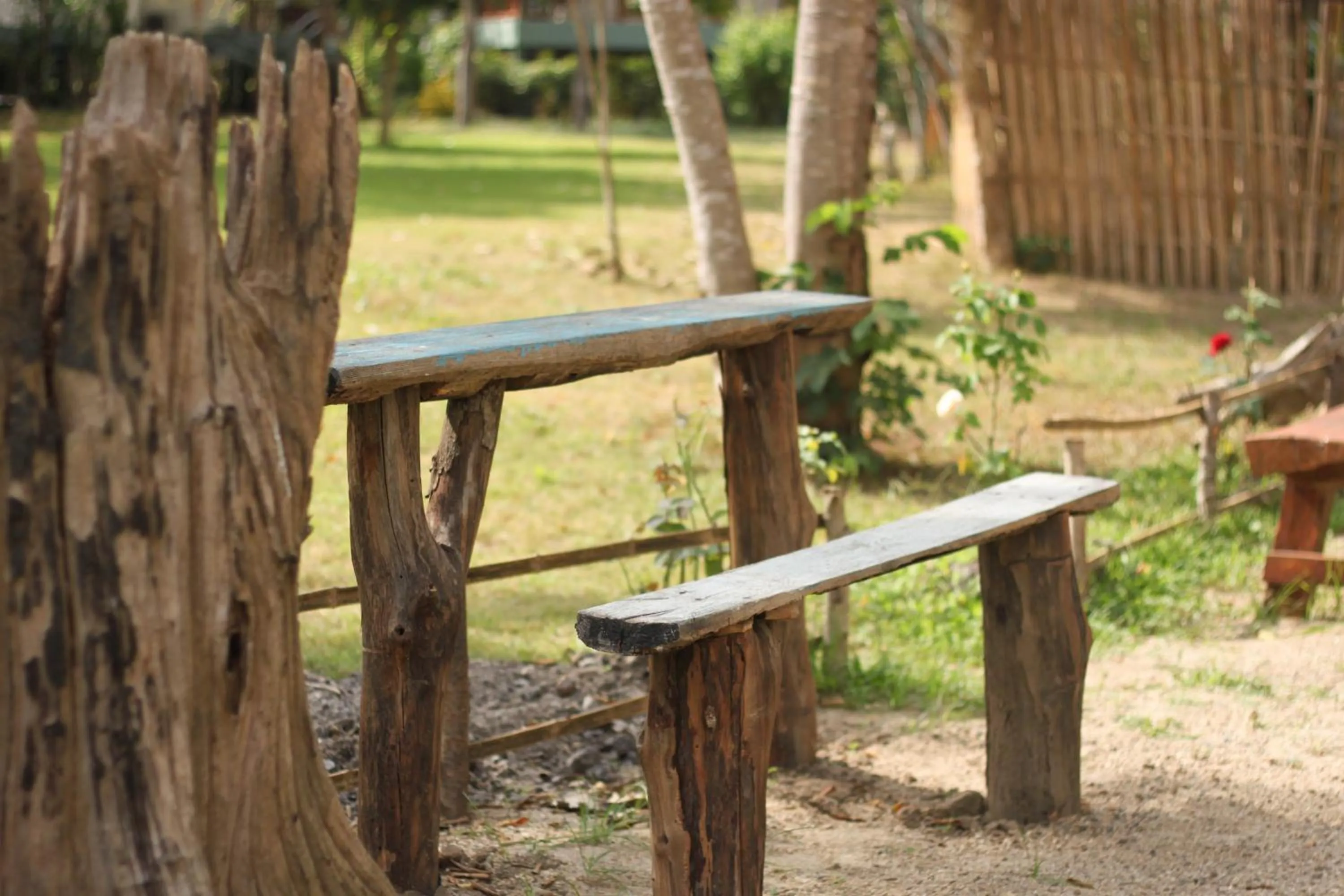 Garden in Pai Flora Resort