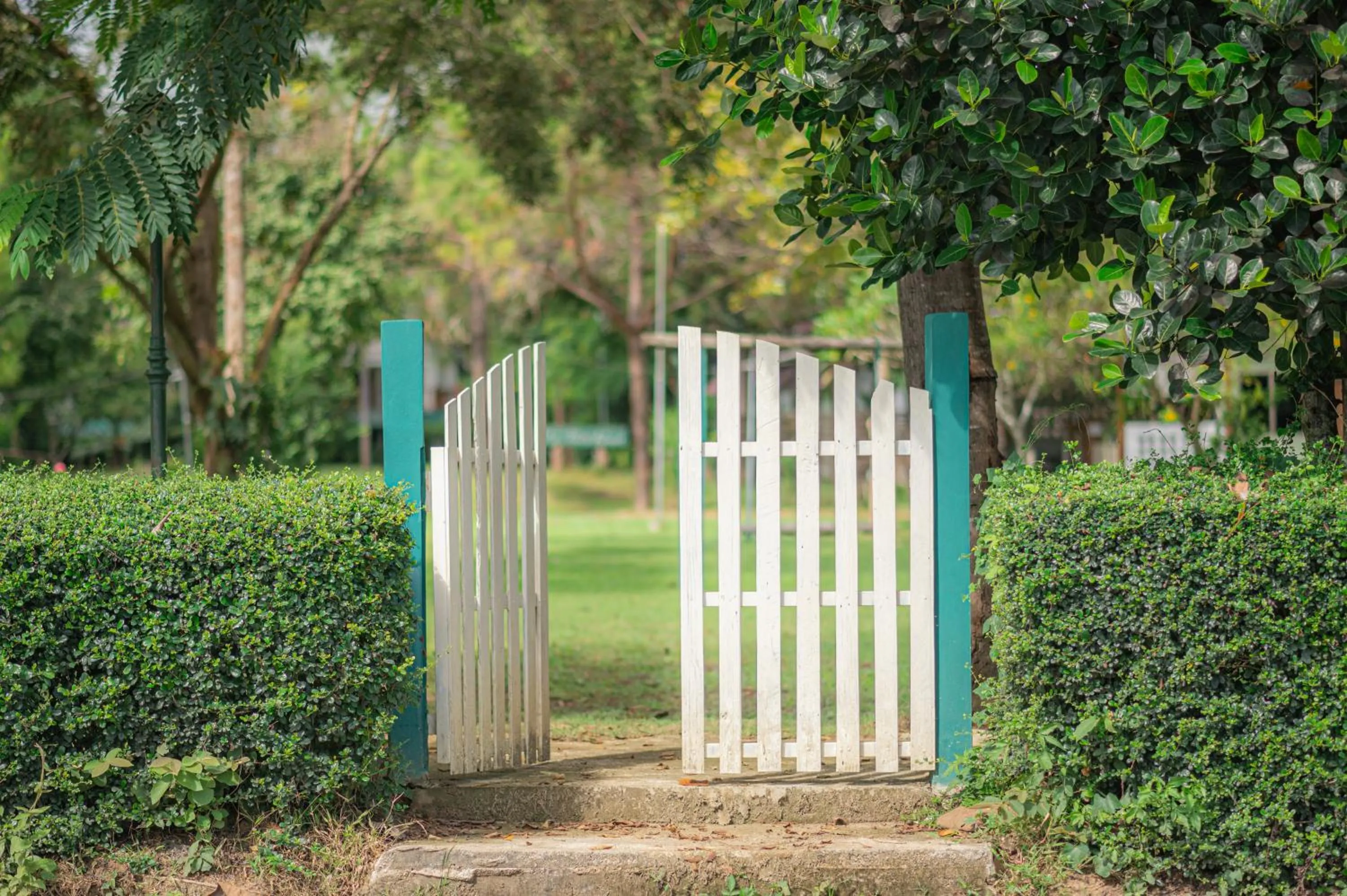 Garden in Pai Flora Resort
