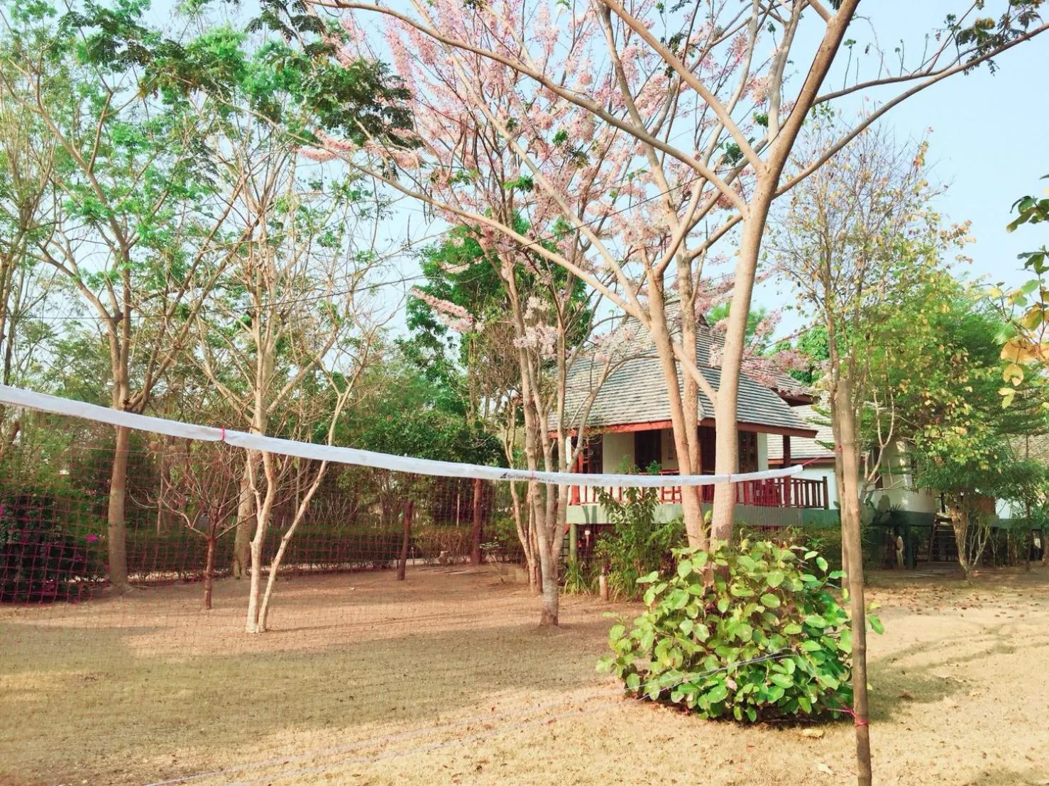 Activities in Pai Flora Resort