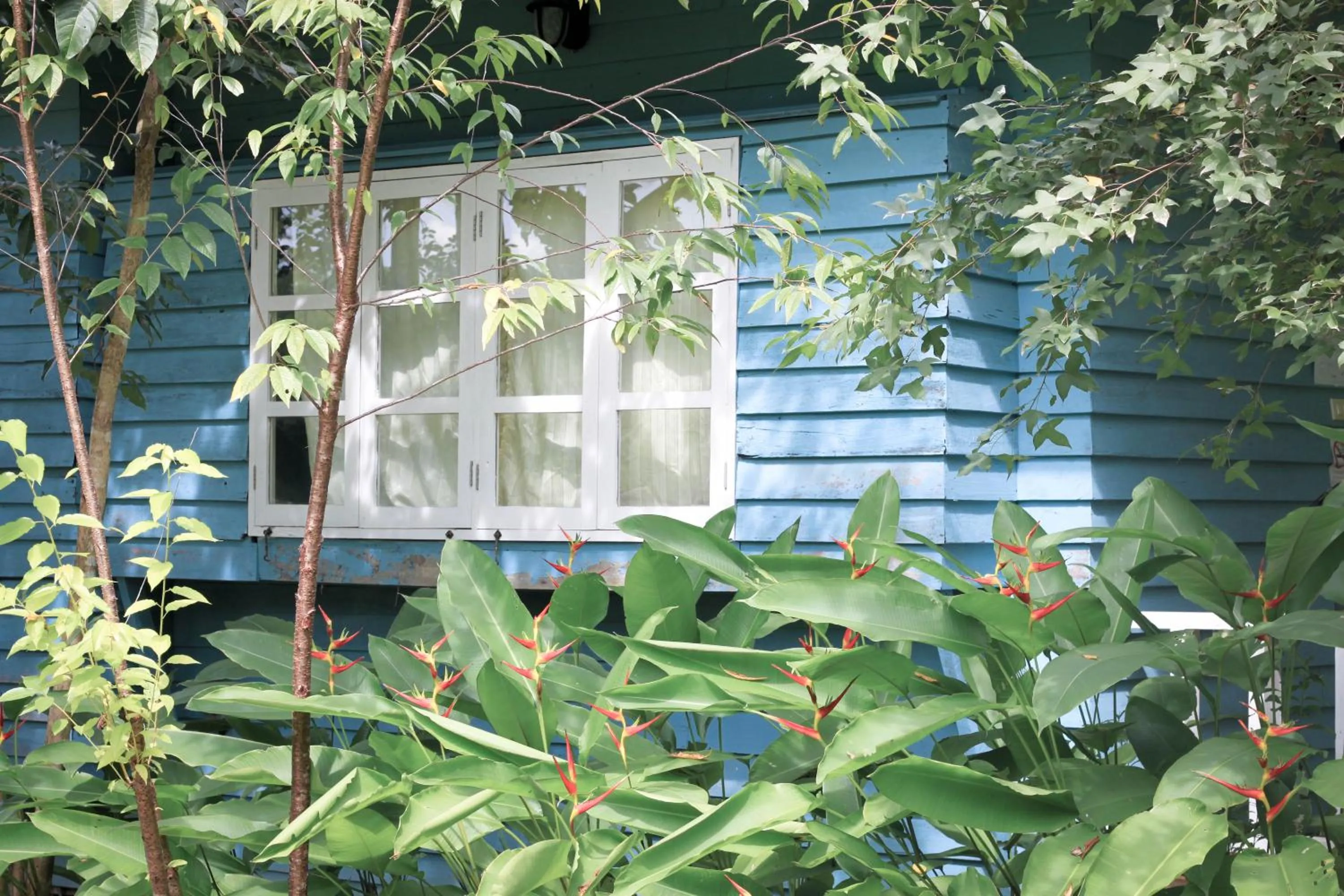 Property building in Pai Flora Resort