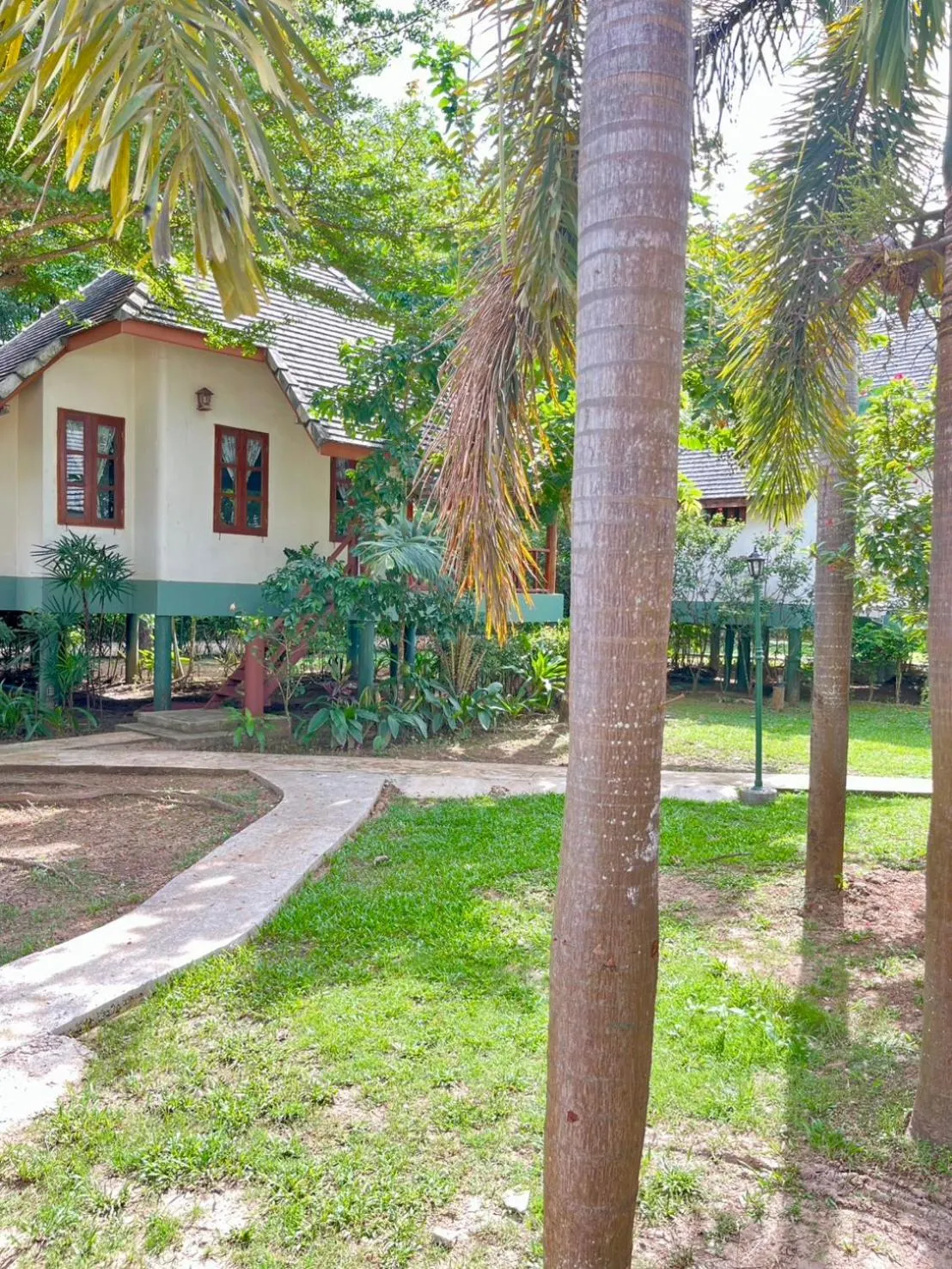 Property building in Pai Flora Resort