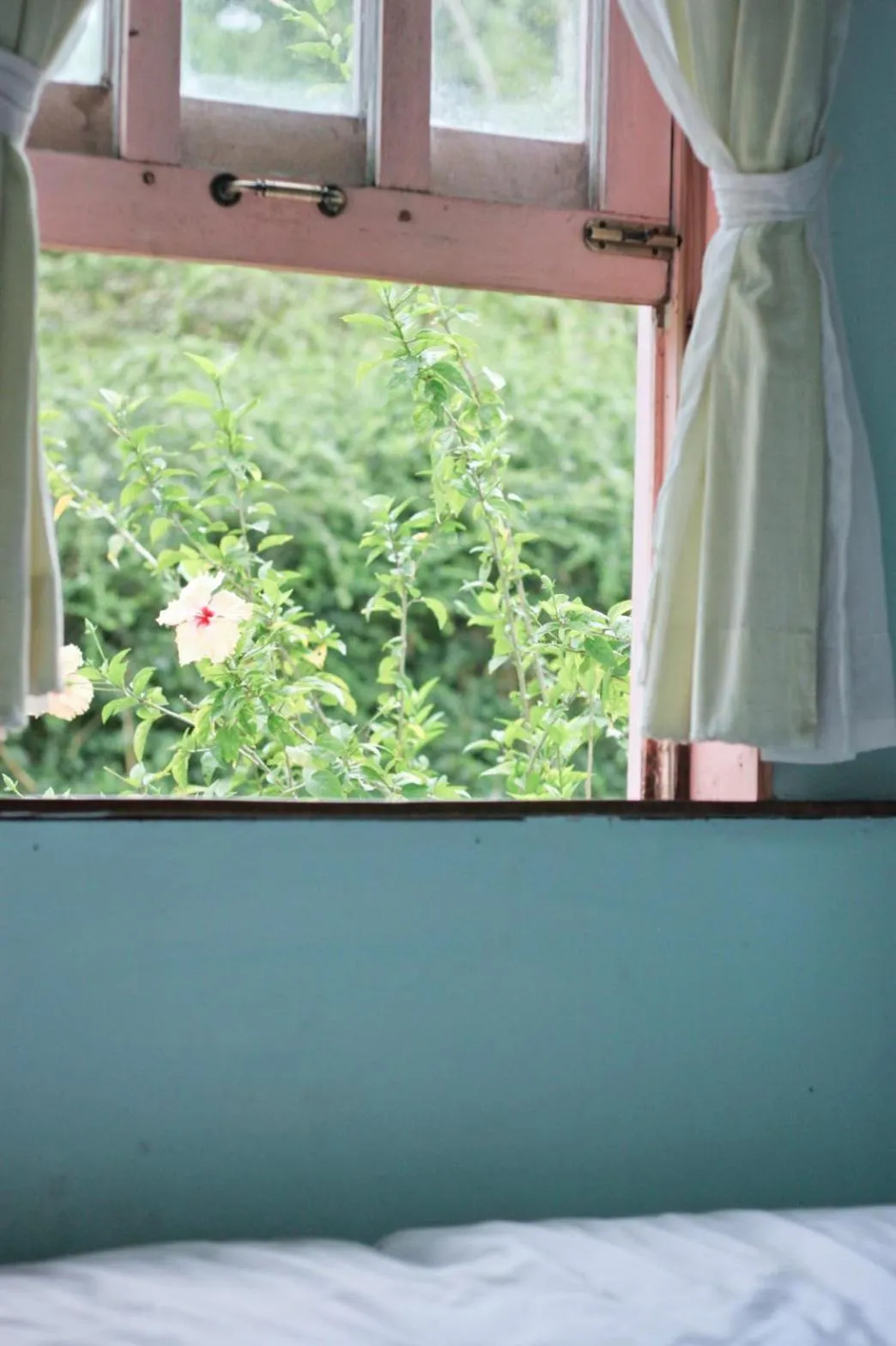 Garden view in Pai Flora Resort