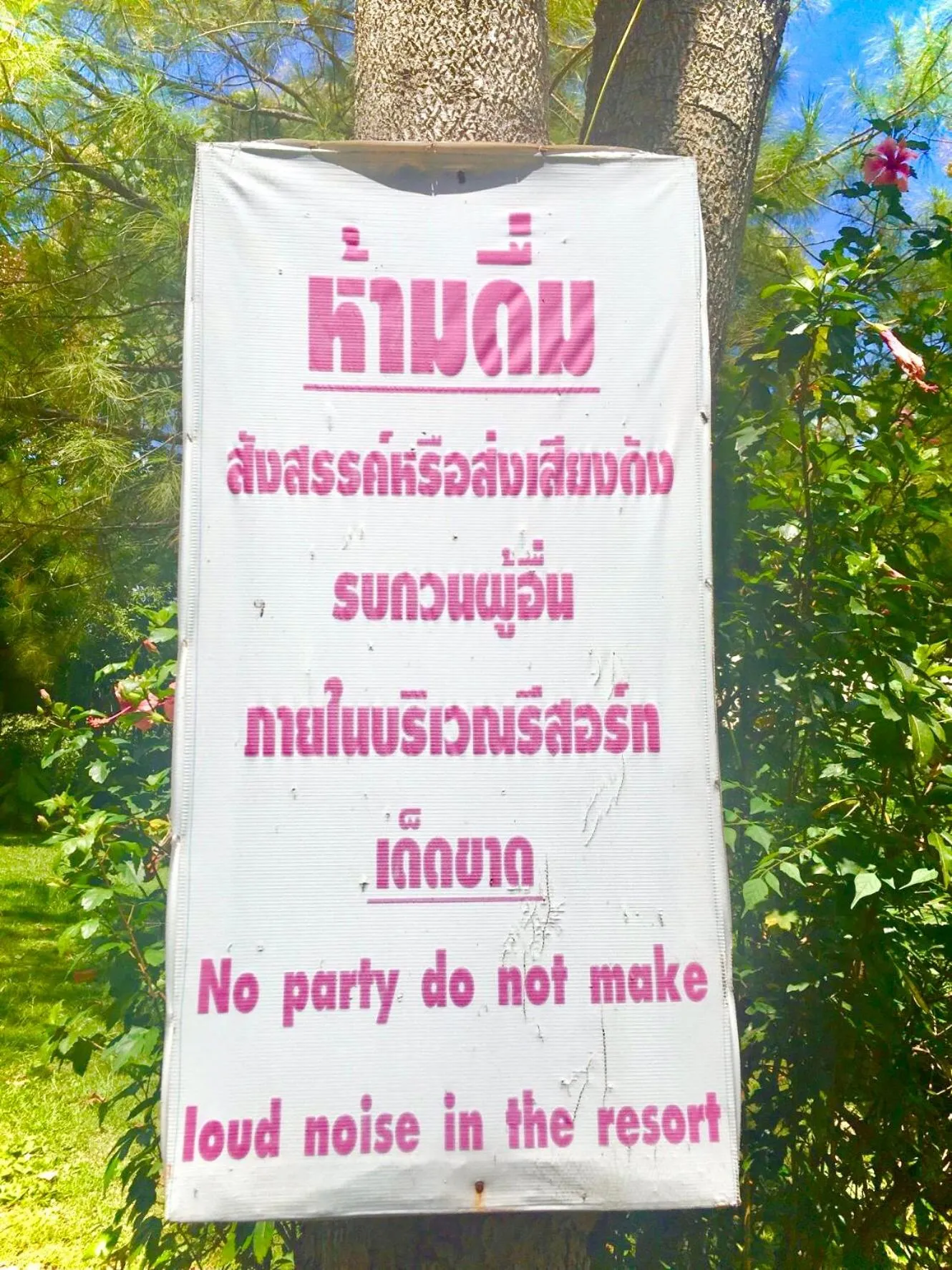 Property building in Pai Flora Resort