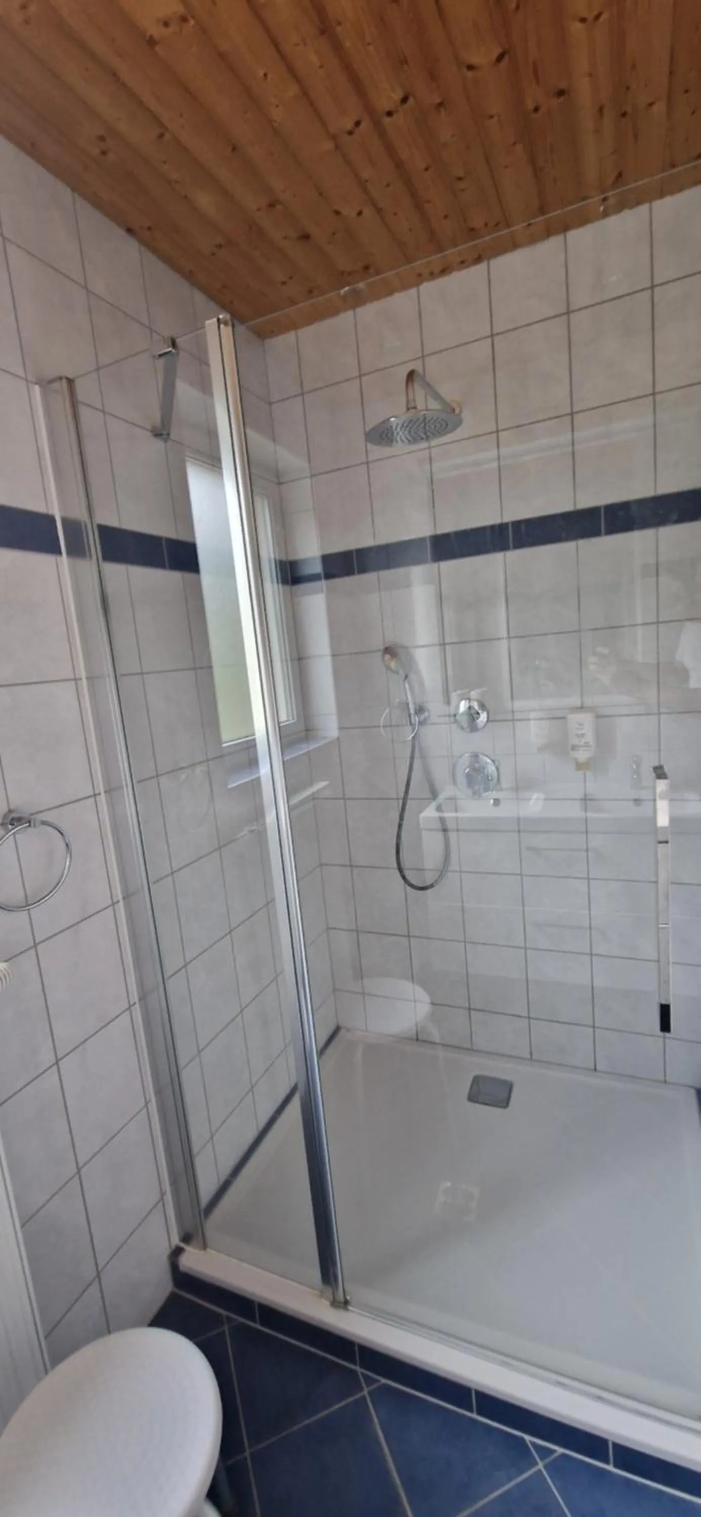 Shower in Apartment hauskaernten