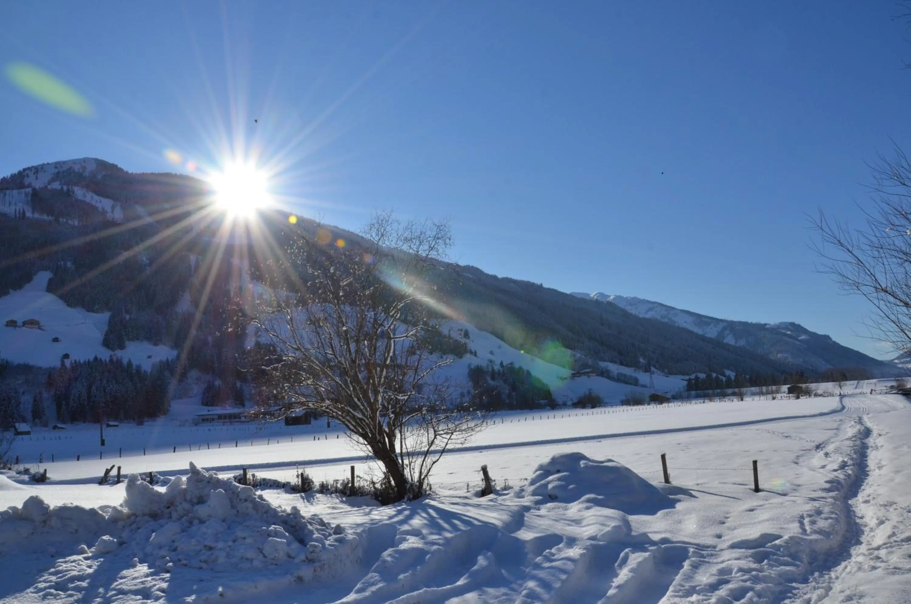 View (from property/room) in Hotel Wieser