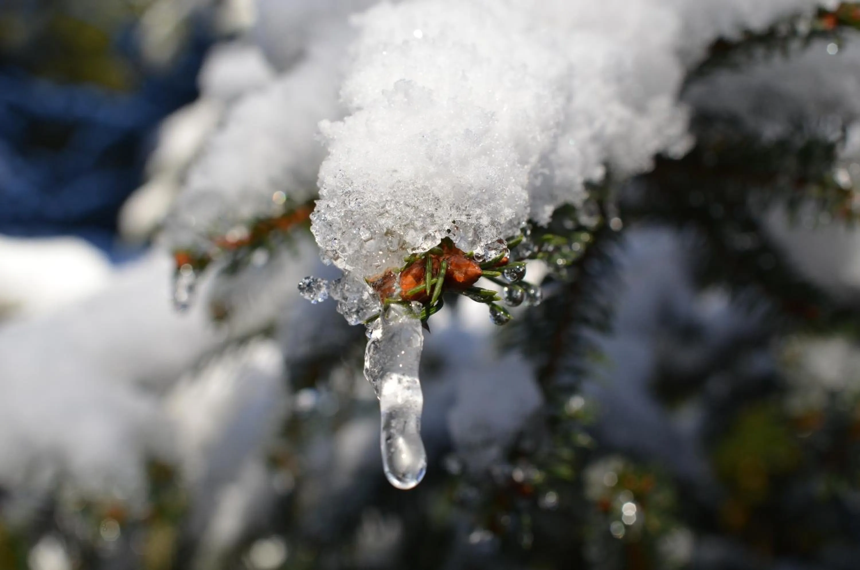 Winter in Hotel Wieser