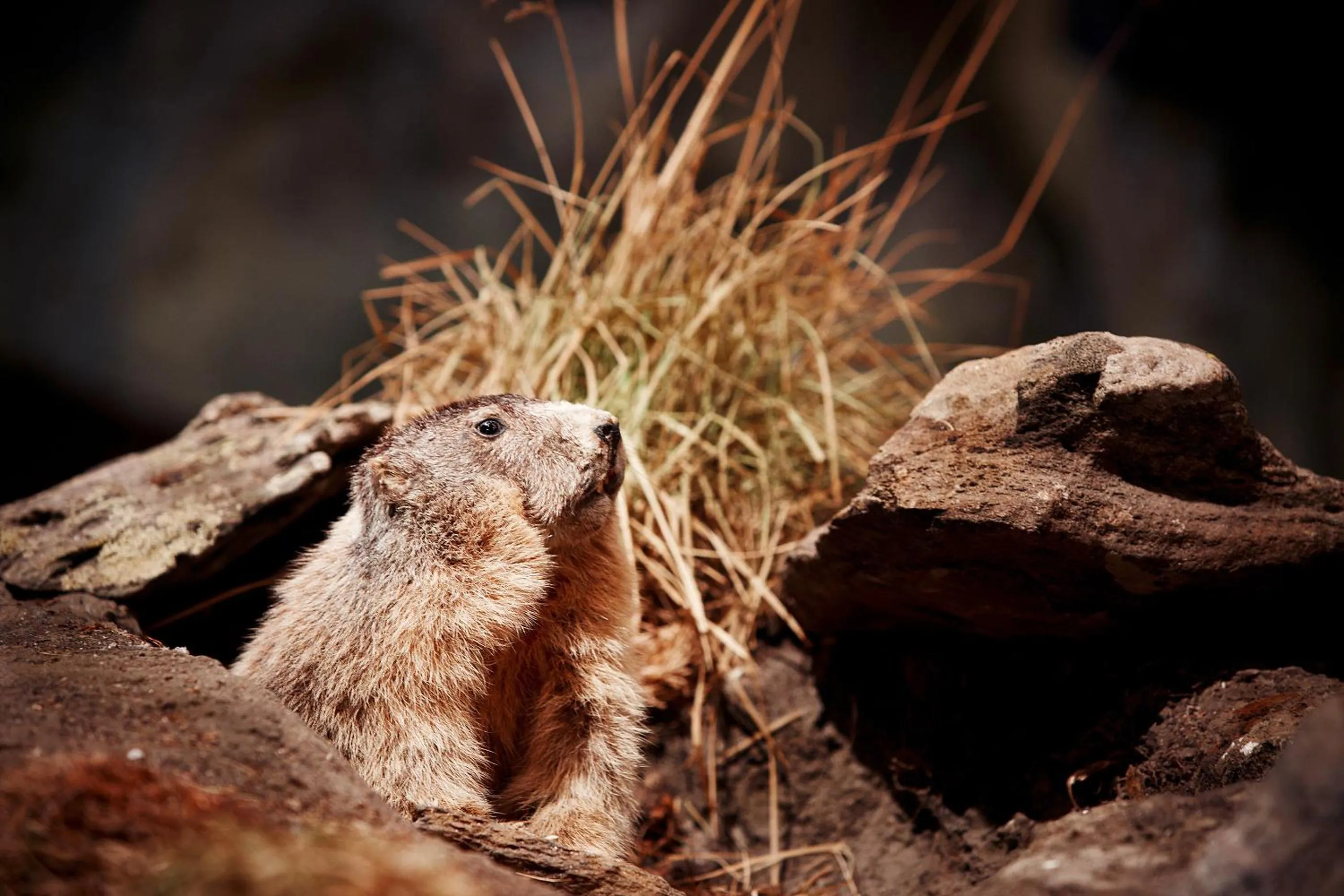 Other in Hotel Wieser