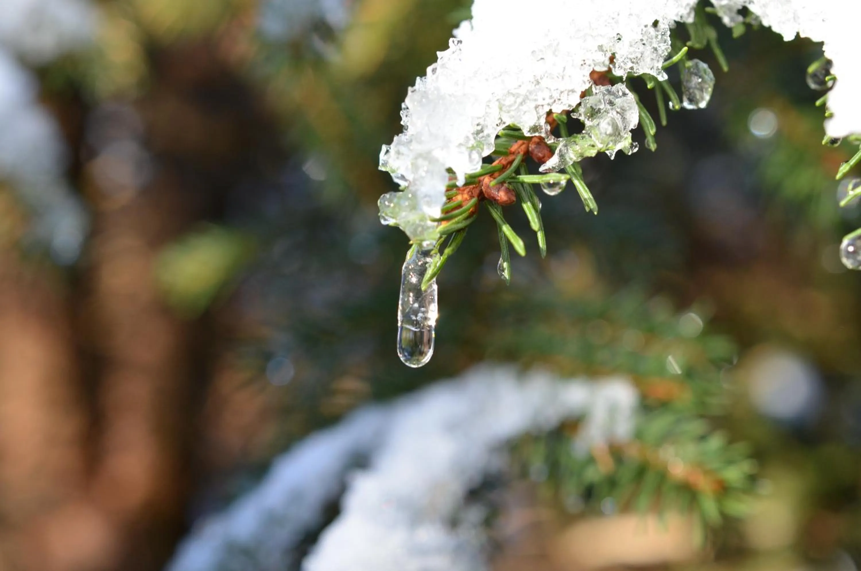 Winter in Hotel Wieser