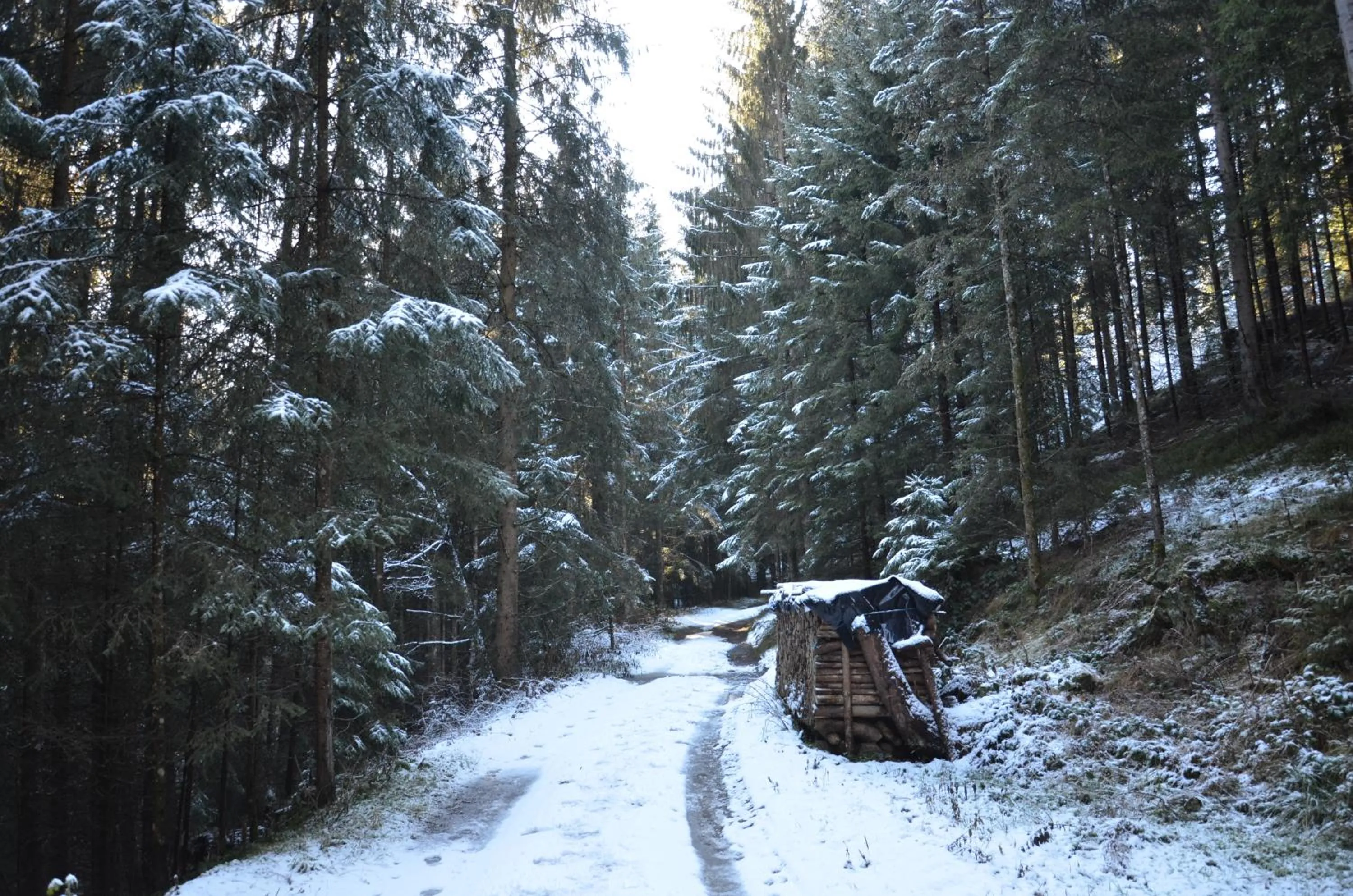 Winter in Hotel Wieser