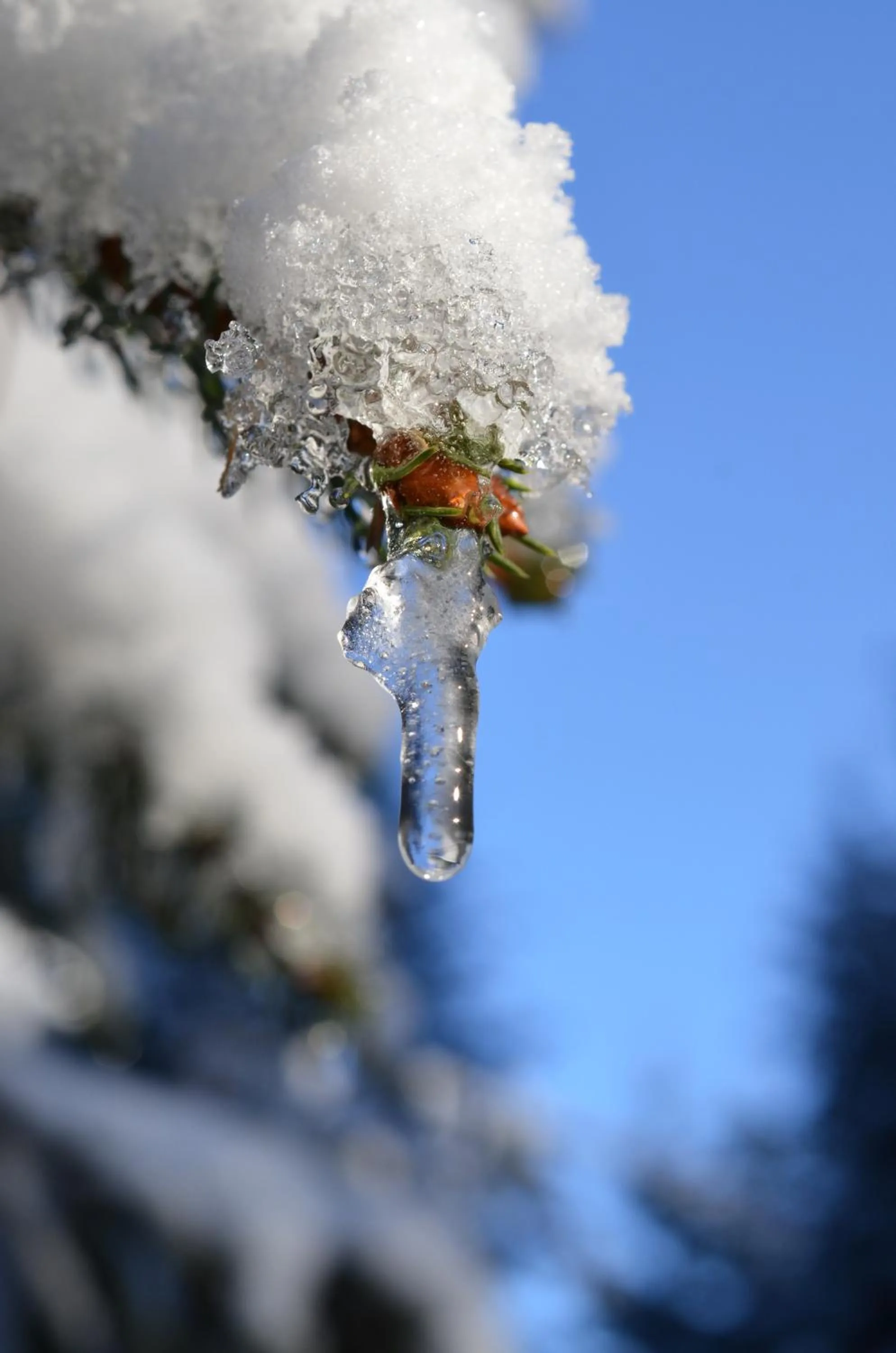 Winter in Hotel Wieser