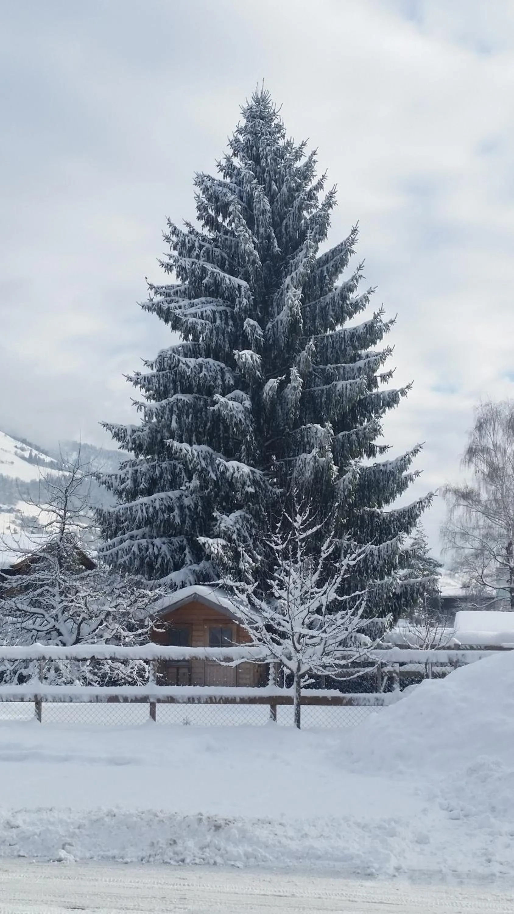 Winter in Hotel Wieser