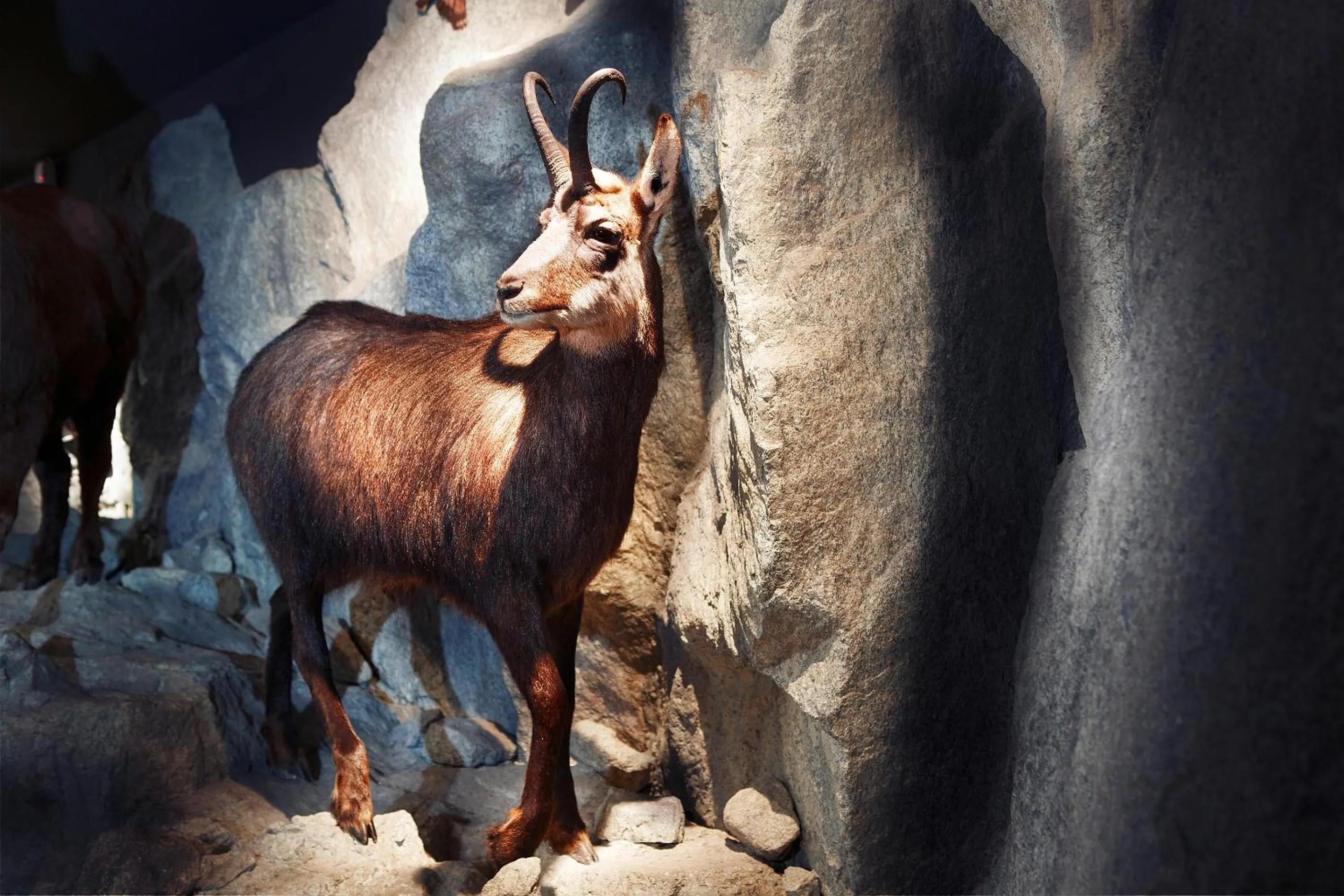 Area and facilities in Hotel Wieser