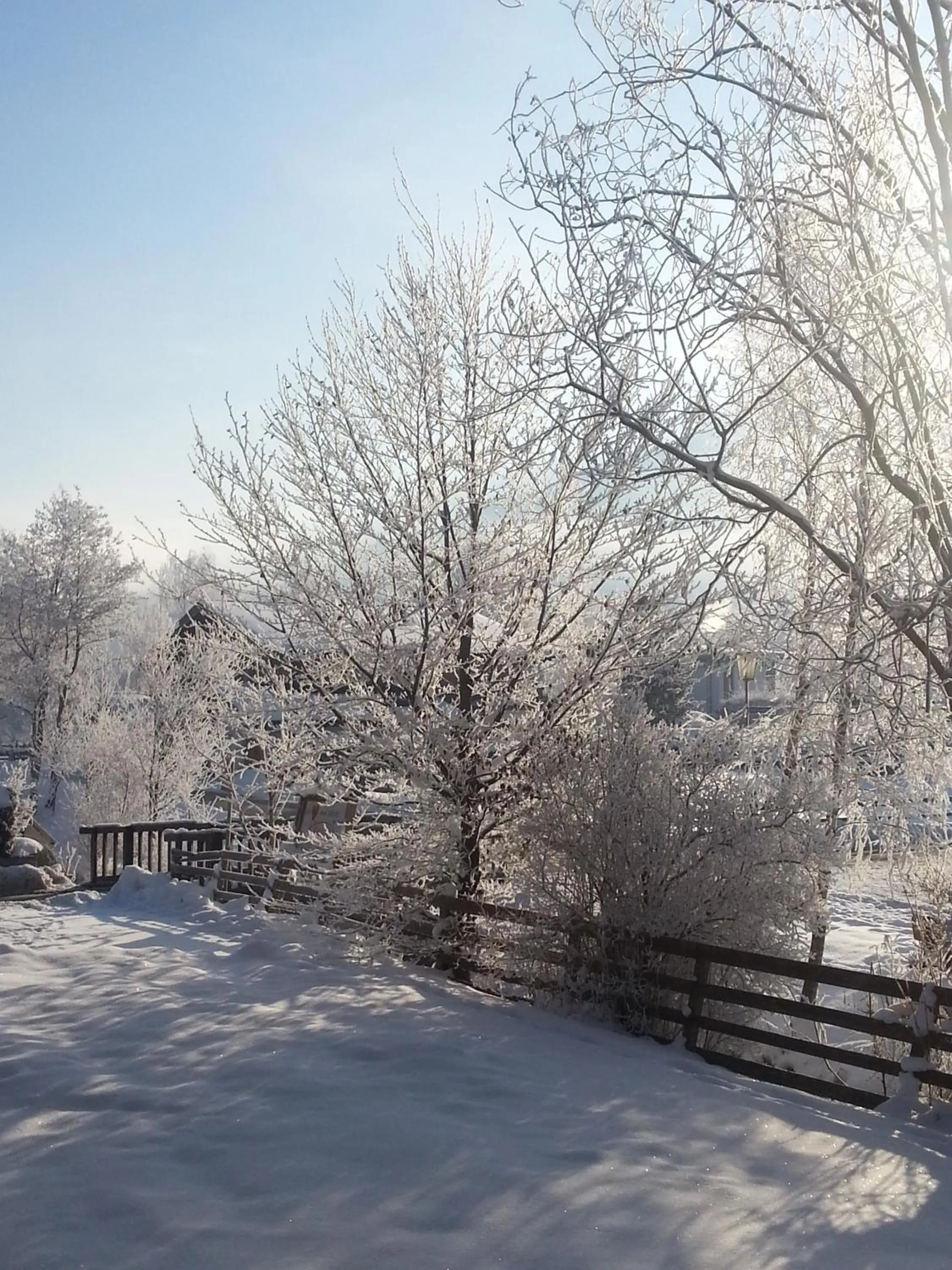 Winter in Hotel Wieser