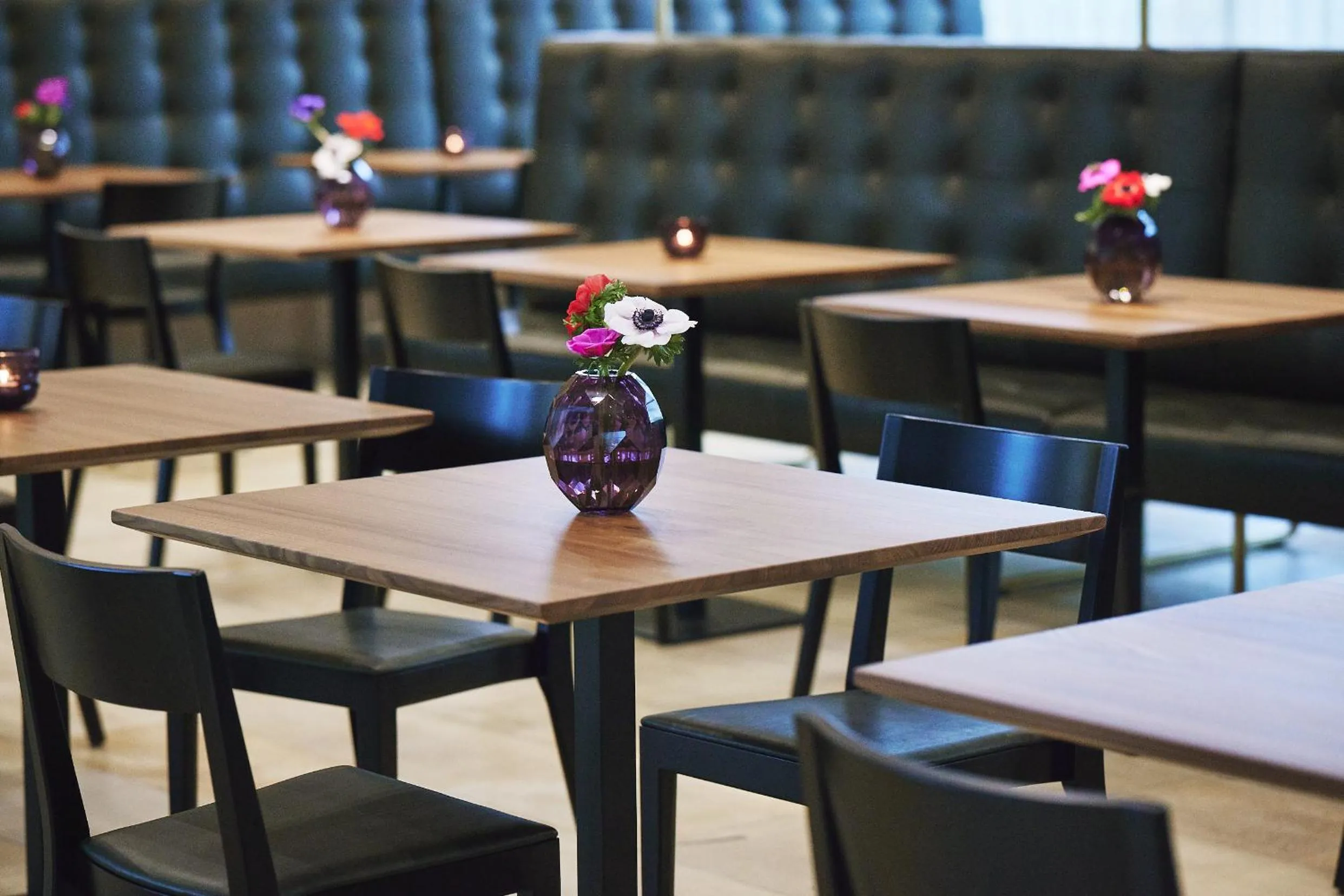 Restaurant/places to eat in Hotel am See