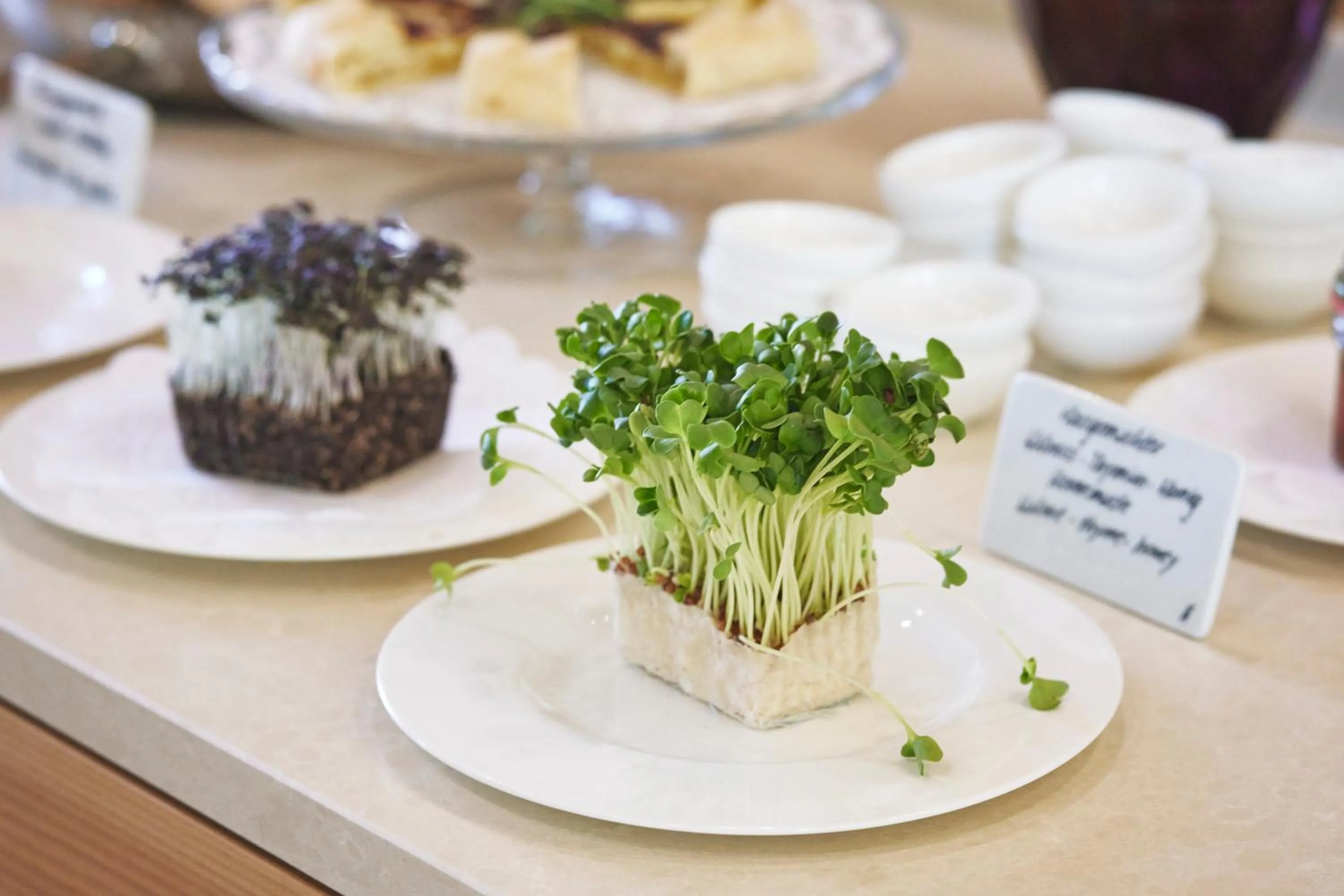 Buffet breakfast in Hotel am See