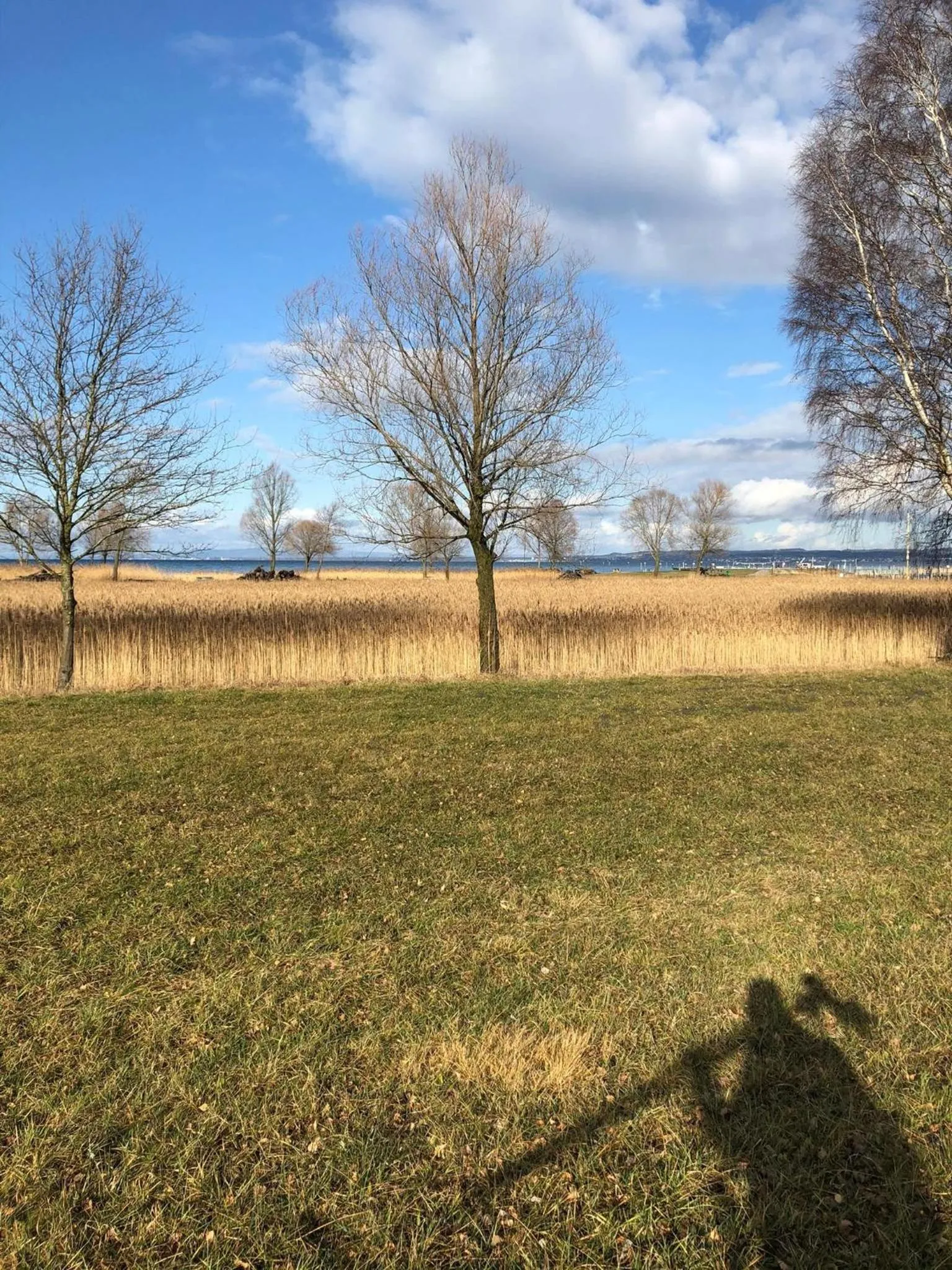 Natural landscape in Hotel am See