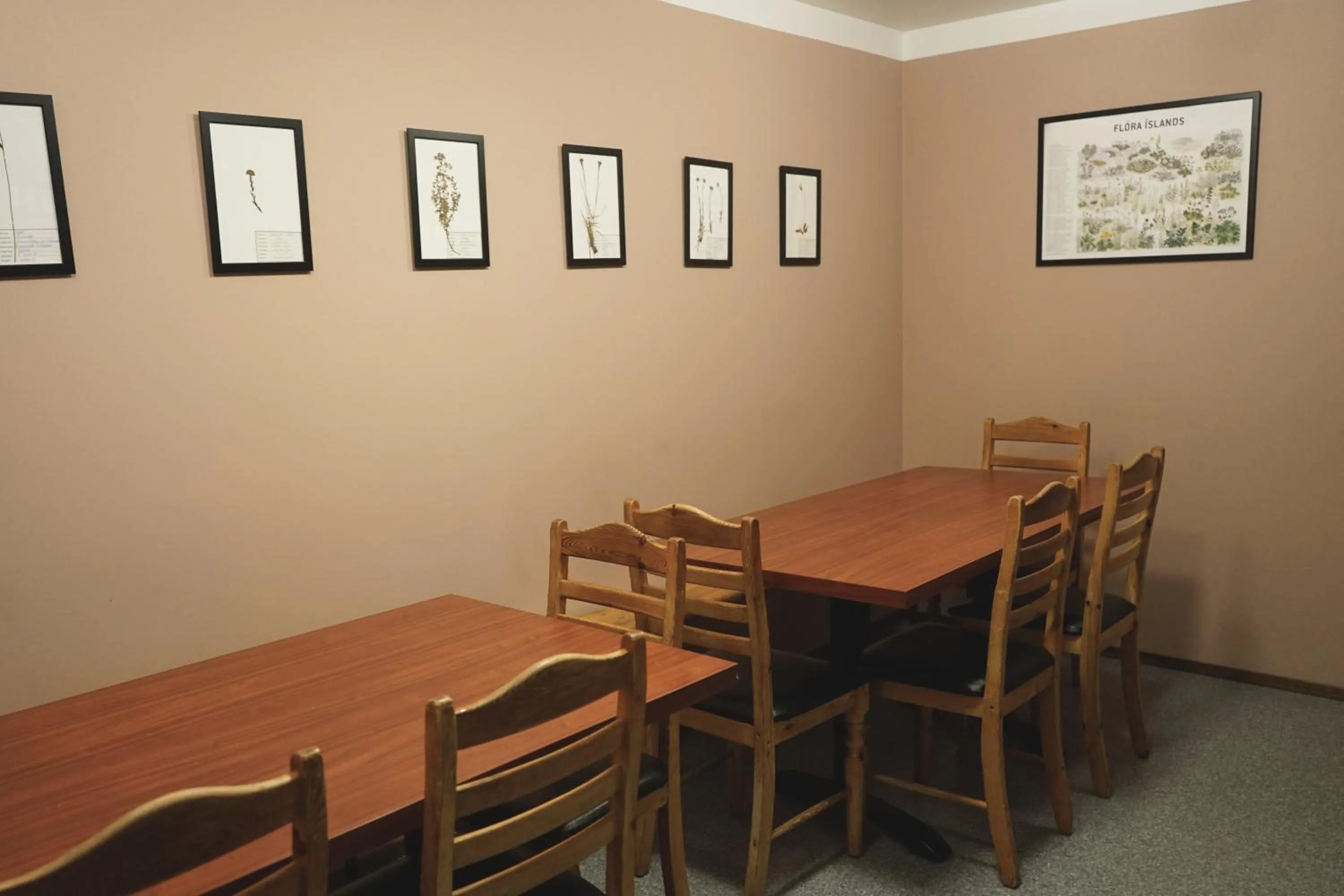 Dining area in Tehúsið Hostel