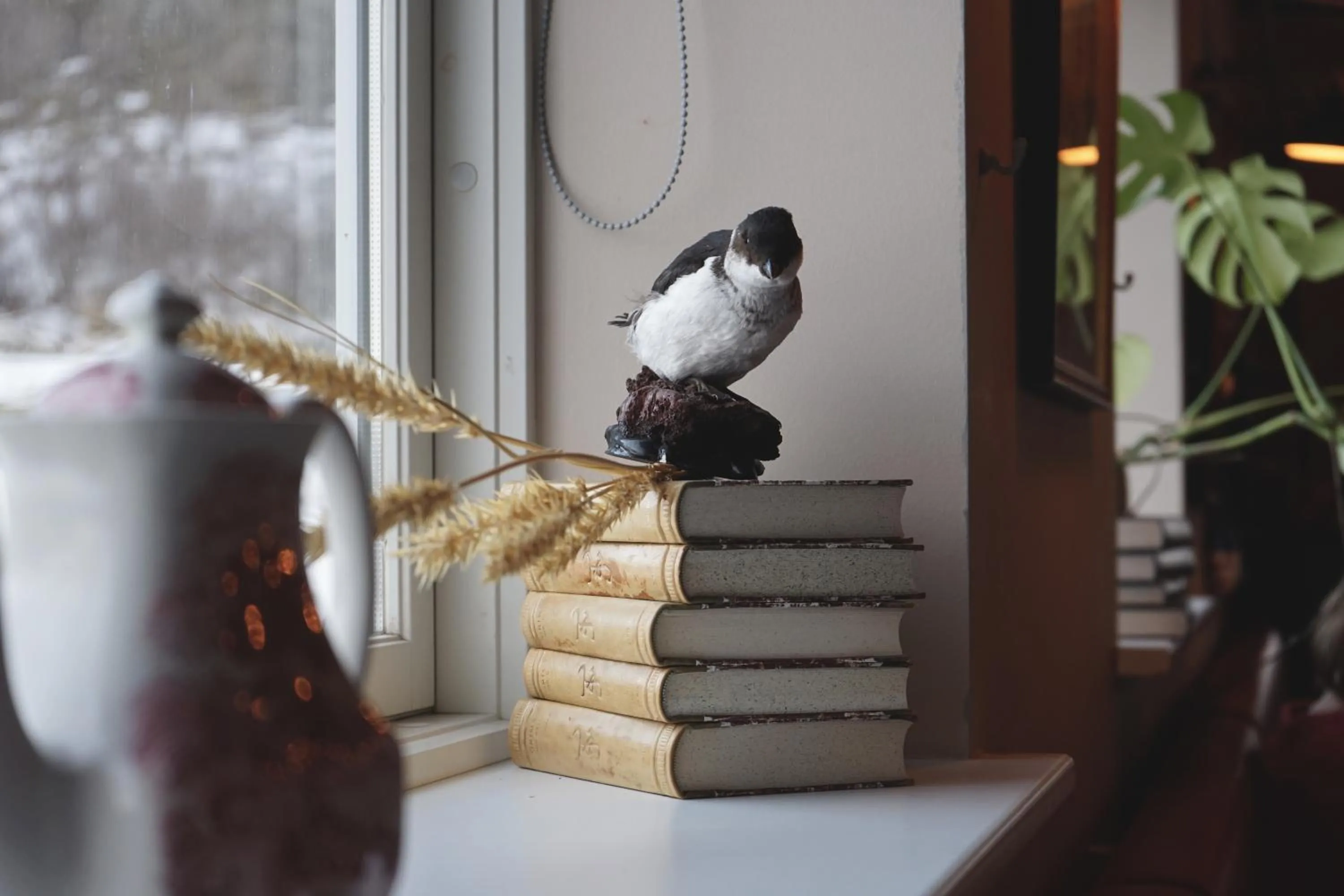 Library in Tehúsið Hostel