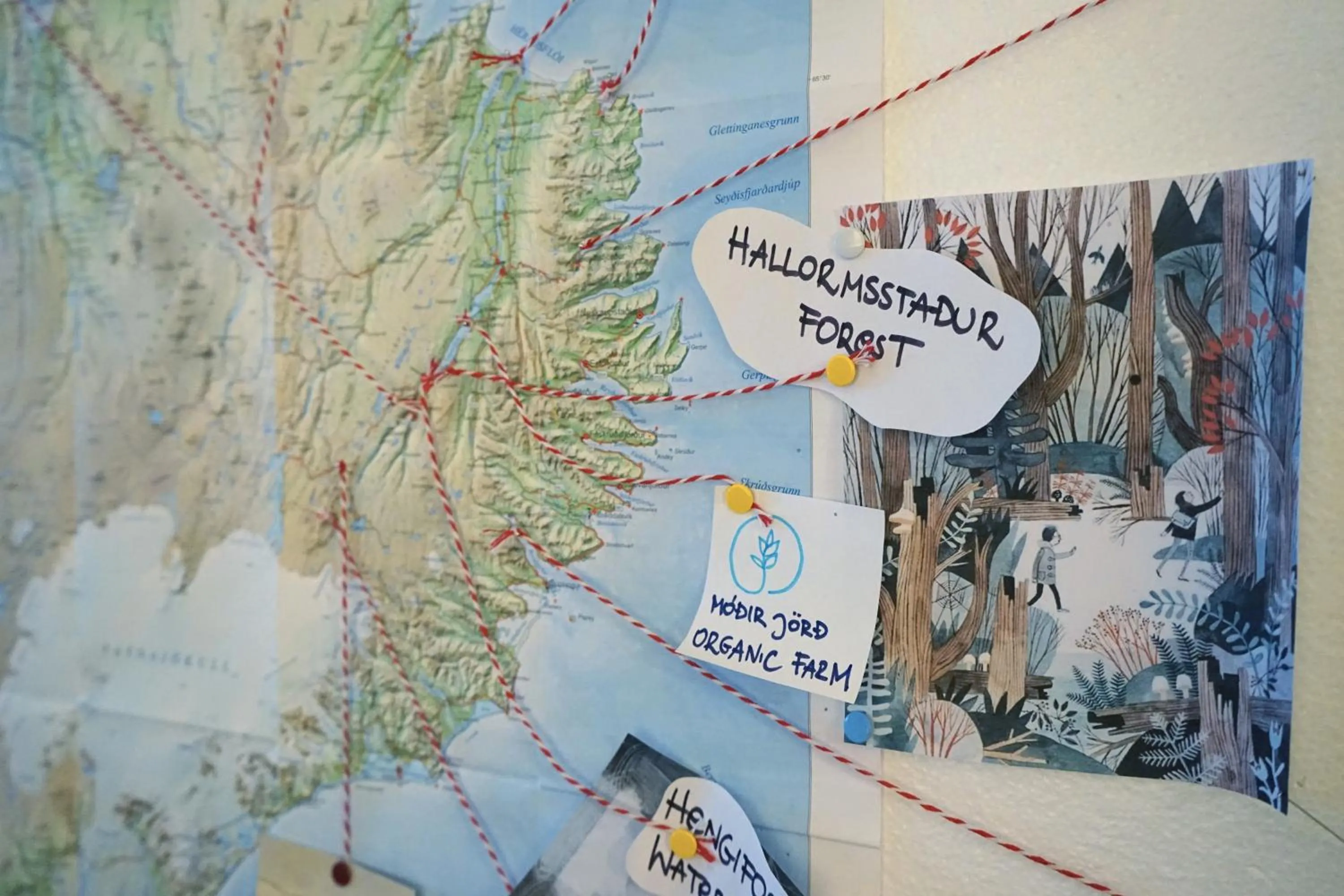 Area and facilities in Tehúsið Hostel