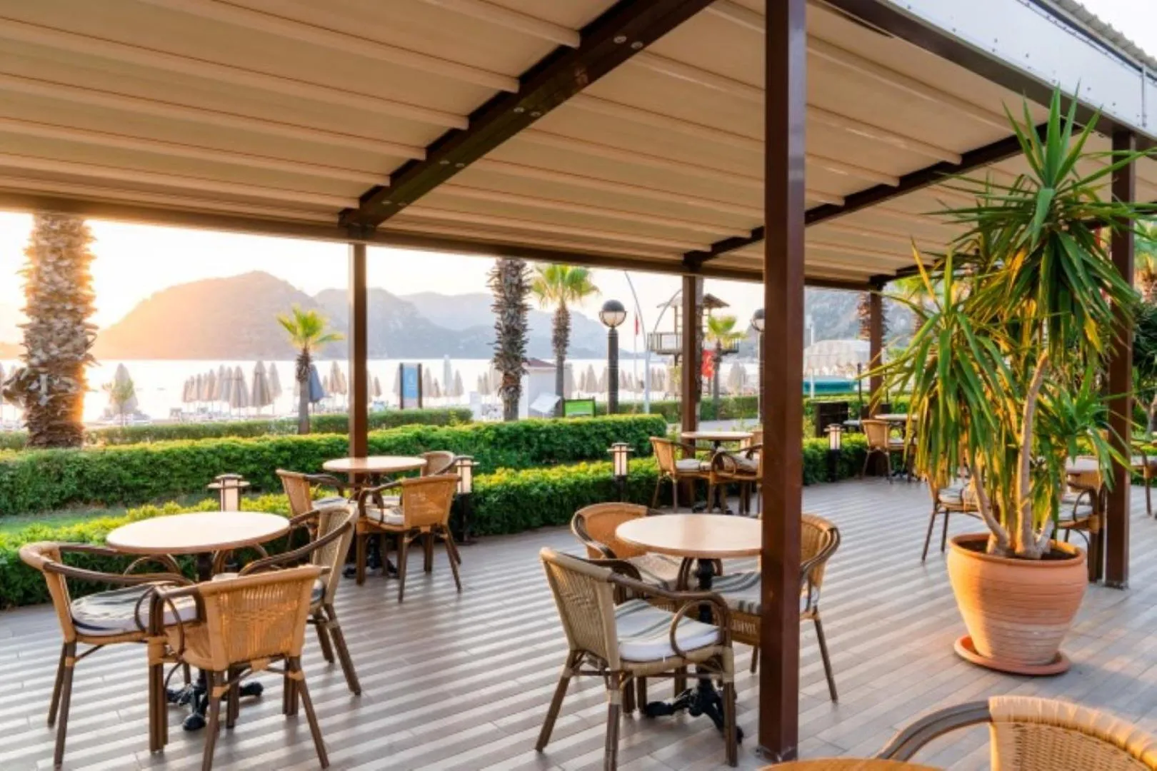 Garden in Hotel Aqua