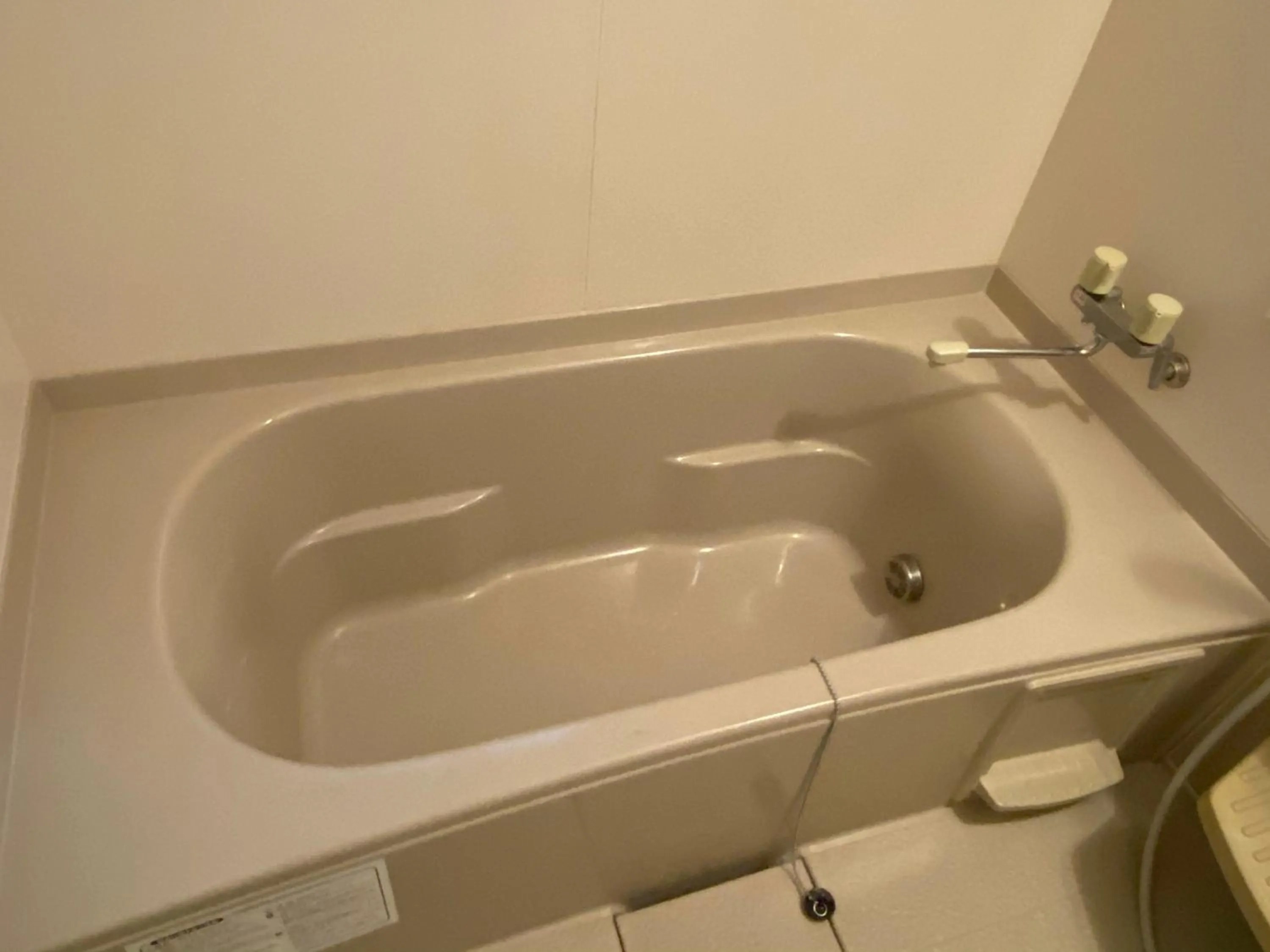 Hot Tub in Maguro House